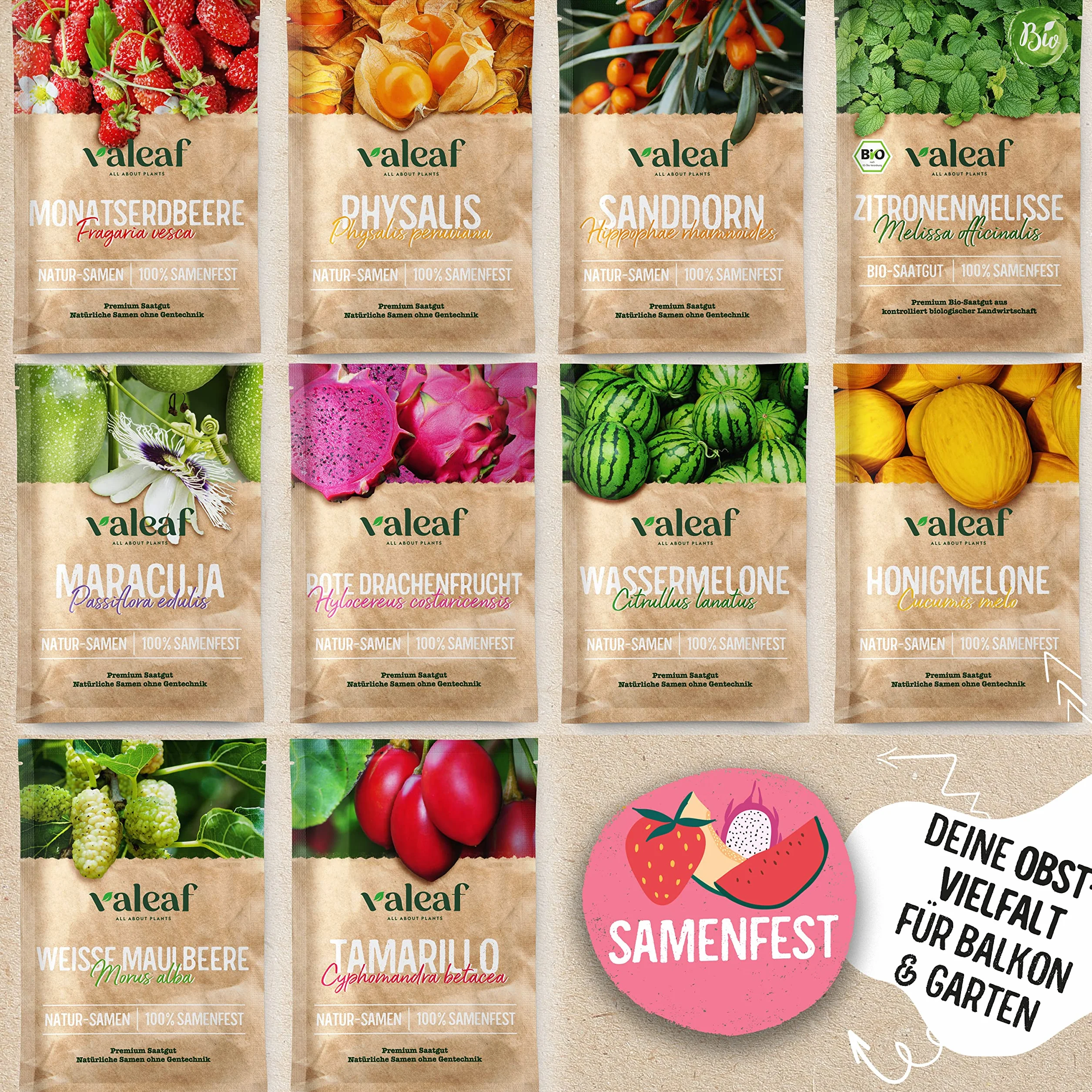 valeaf Obst Samen Set I 10 Sorten Obstsamen I Premium Saatgut Obst I Pflanzen Set inkl. Obst Samen I Erdbeersamen, Melonen Samen, Physalis, Drachenfrucht I Pflanzen Samen I ideales Samen Set Geschenk