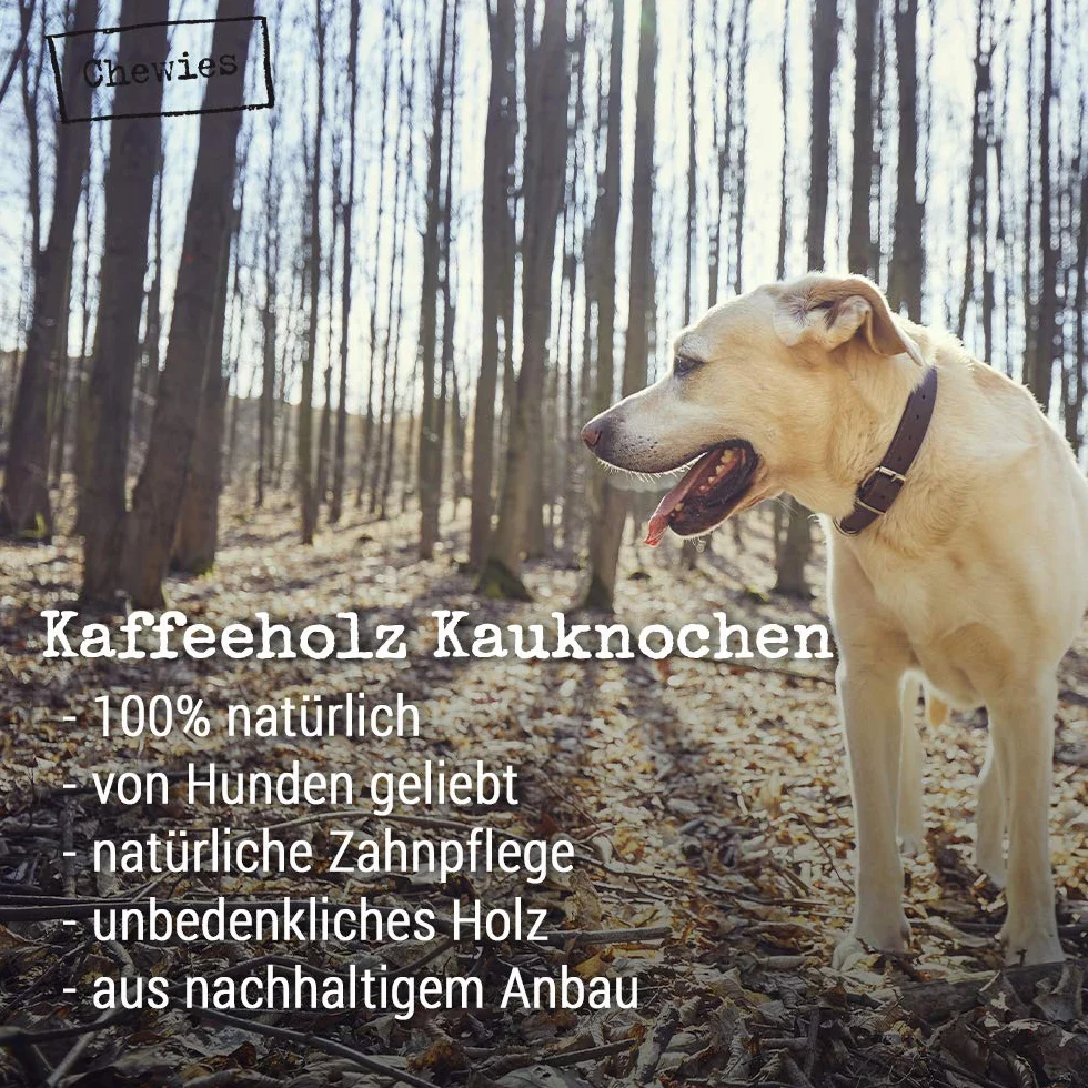 Chewies Zabawka dla psów z drewna kawowego 100% naturalna pałeczka do żucia rozmiar XS