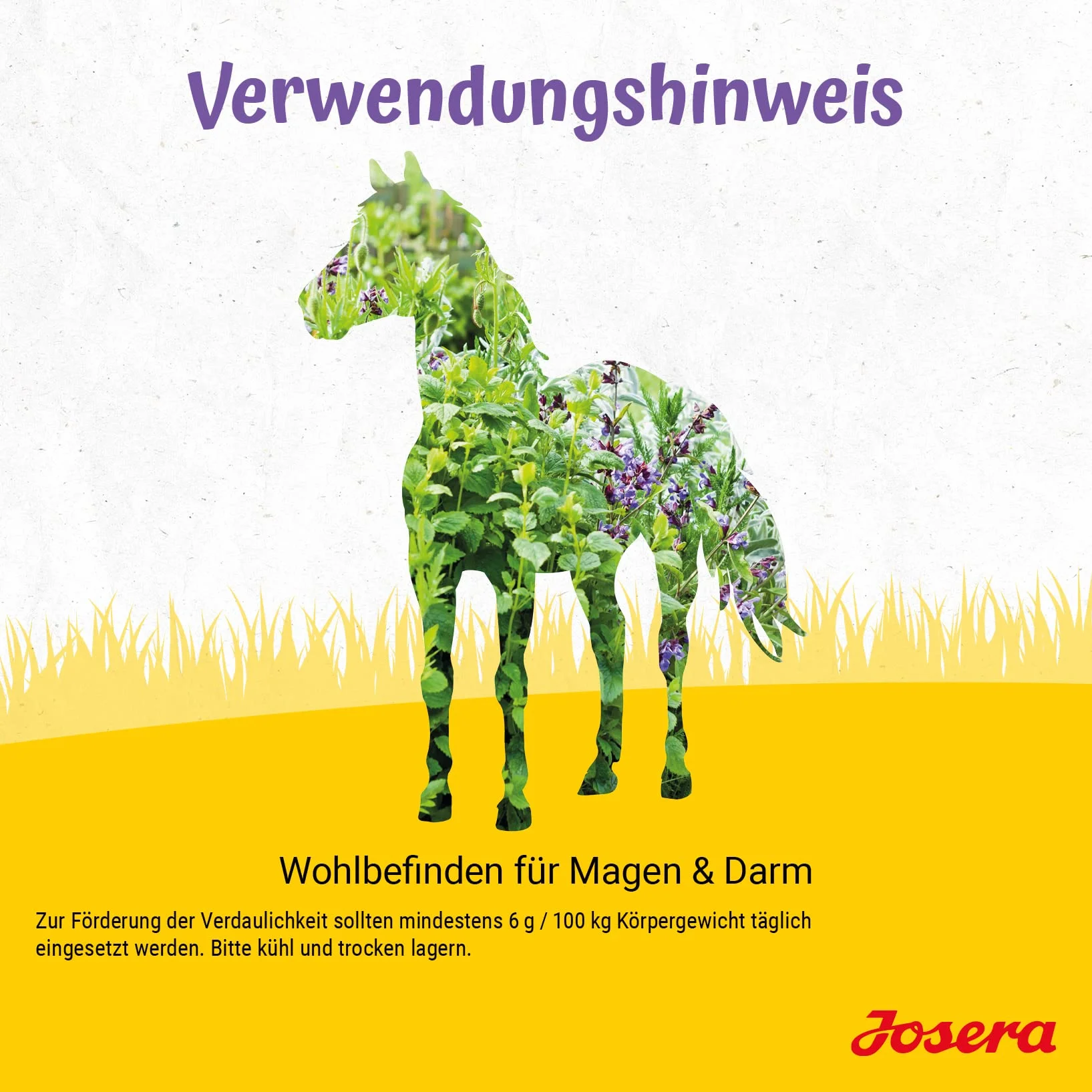 JOSERA Flavo Gast 3 kg karma dla koni wrażliwych z EquiFlavin