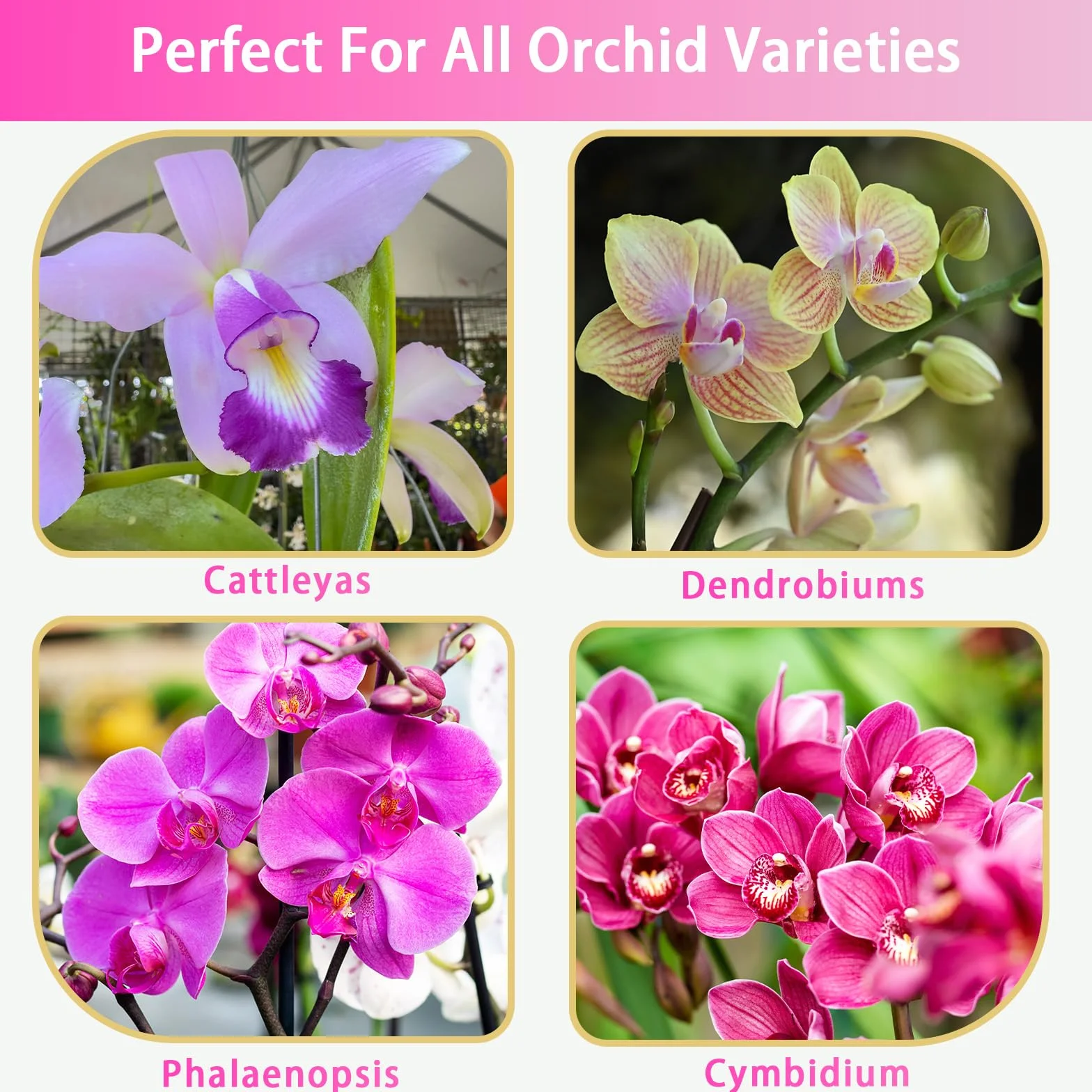 Kompost do doniczek z orchideami 4L, Kompost z kory orchidei i perlitu, Najwyższej jakości medium do doniczek, przesadzania, poprawionej drenażu, przepływu powietrza i wentylacji korzeni