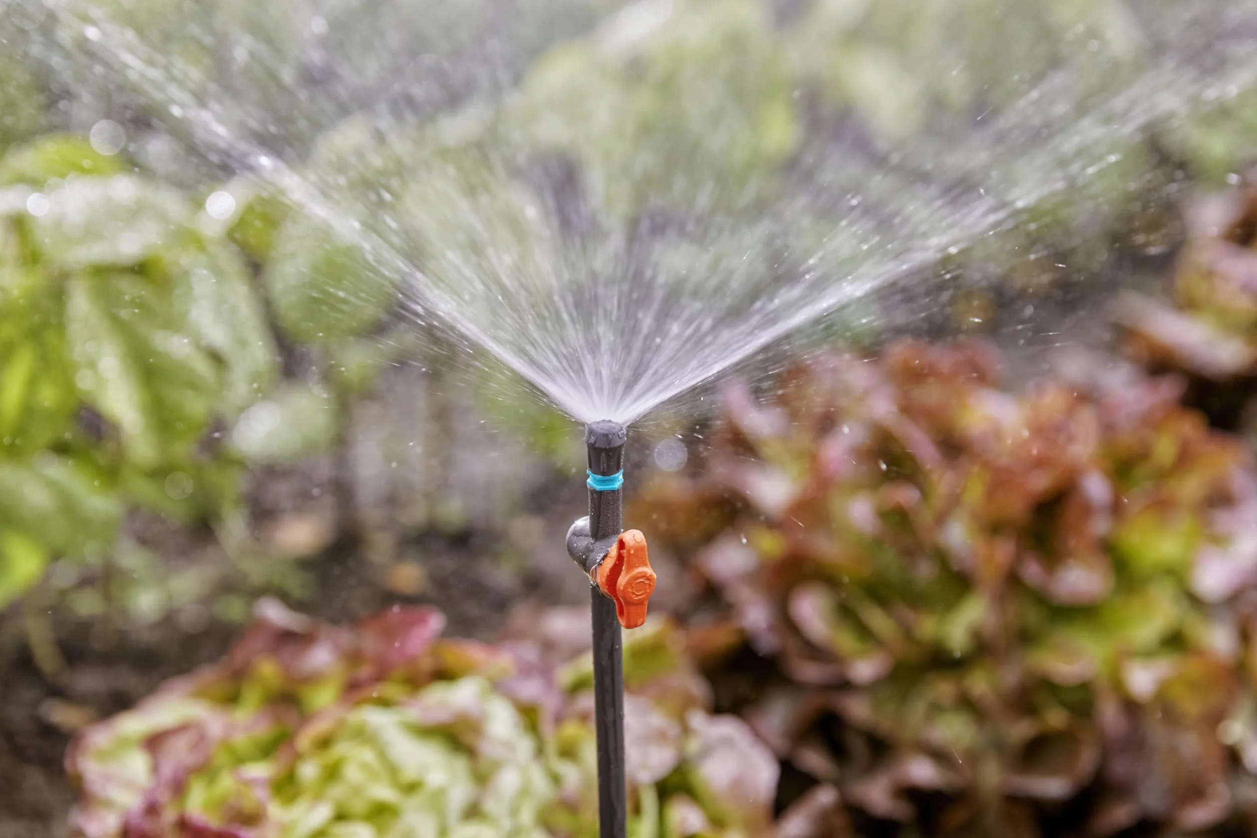 Gardena Micro-Drip-System zawór regulacyjny: Do regulacji przepływu wody na dyszach zraszających lub na rurze przedłużającej dysz zraszających, zawartość: 5 szt. (13231-20)