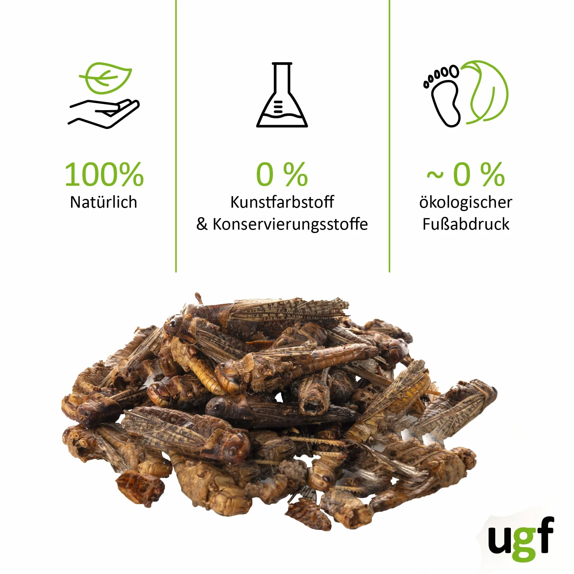UGF suszone koniki polne 65 g wiadro 500 ml karma dla gadów gryzoni jeży jaszczurek dzikich ptaków