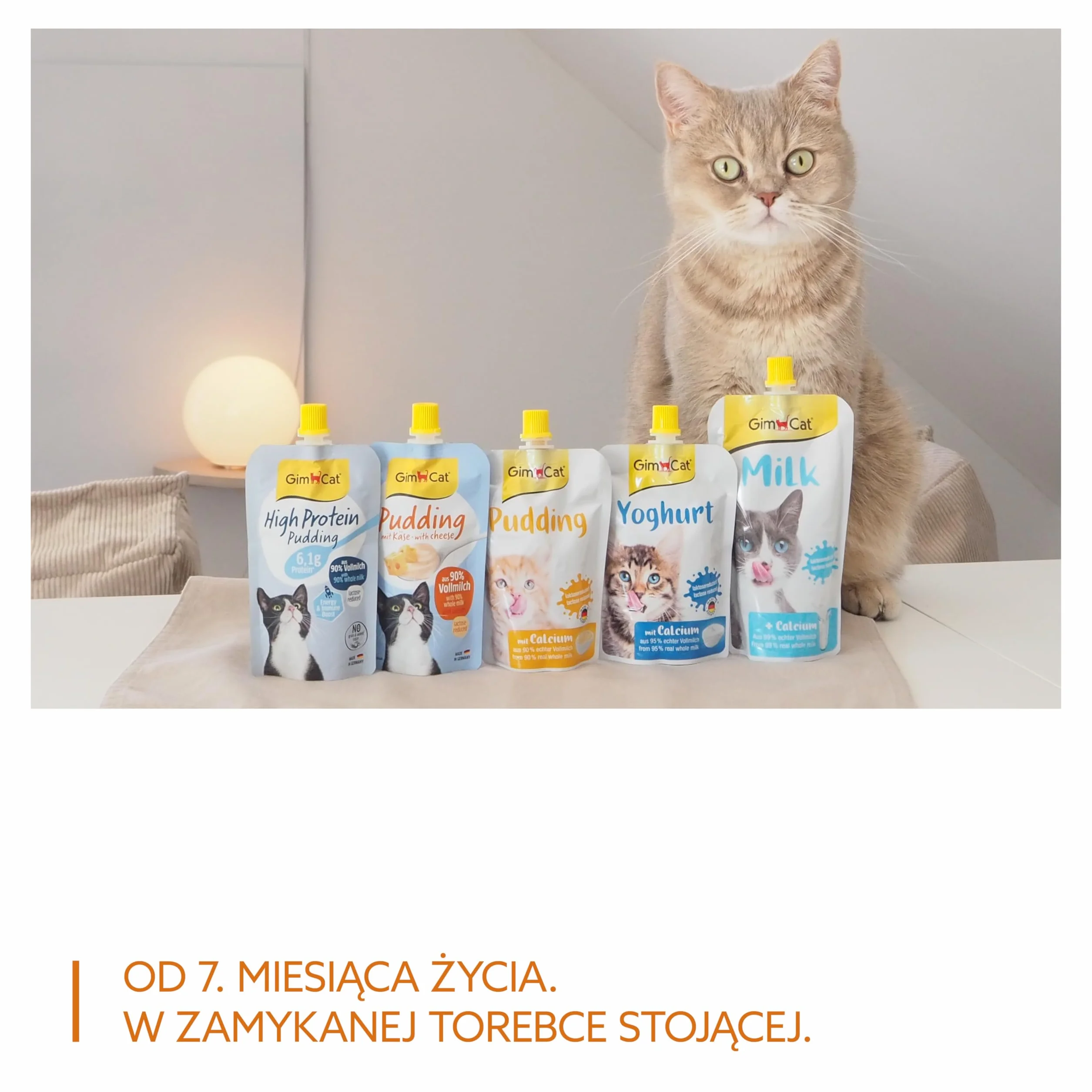 GimCat Pudding z serem kremowa przekąska z wapniem 100 g