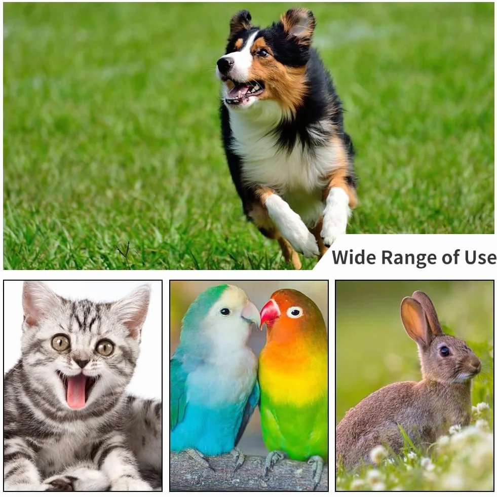 Pet Training Clicker Regulowany do szkolenia psów Koty Konie (czarny)