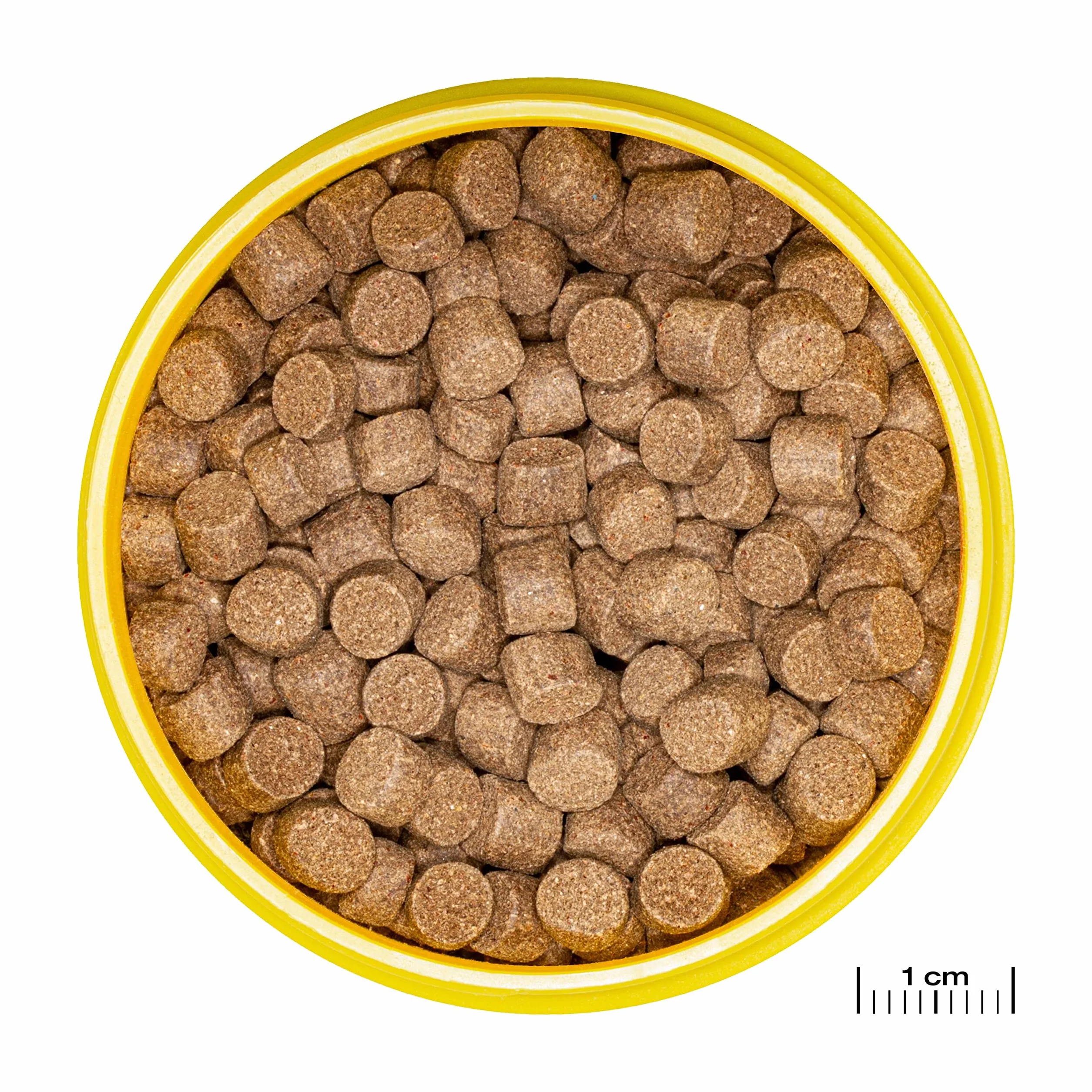 JBL PRONOVO LOTL GRANO pokarm dla Axolotl 15-25 cm granulat XL 250 ml