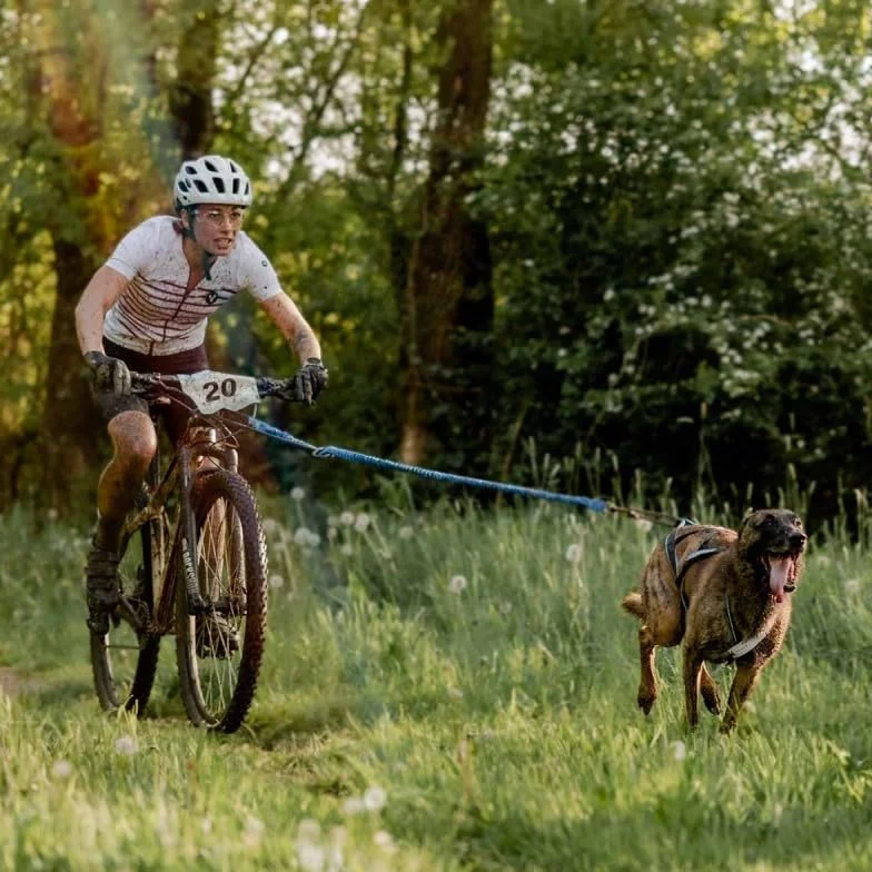 Inlandsis Drążek cani-MTB Bikejoring Max UL