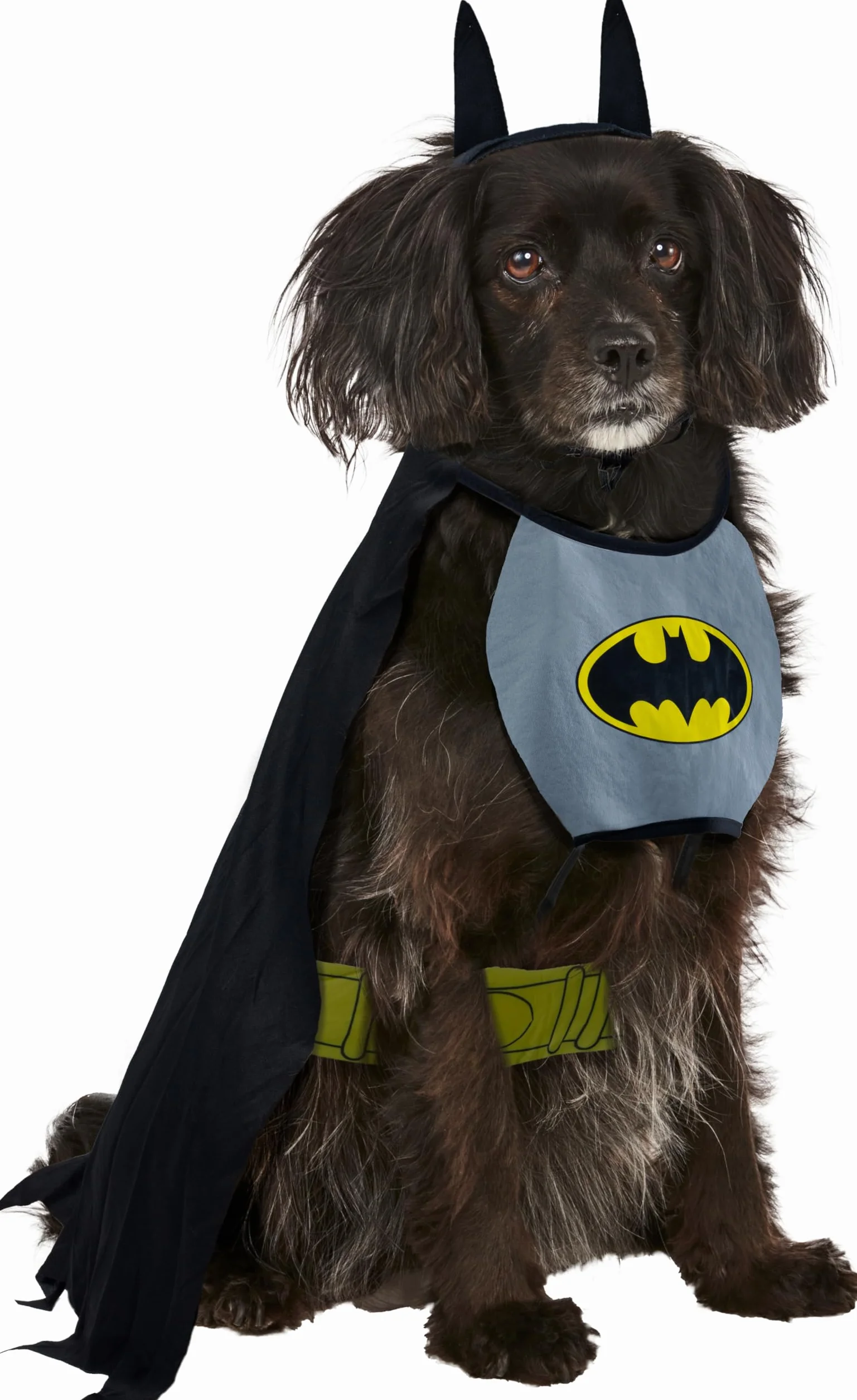 Oficjalny kostium Rubie's Pet Dog, Batman - duży Halloween Halloween