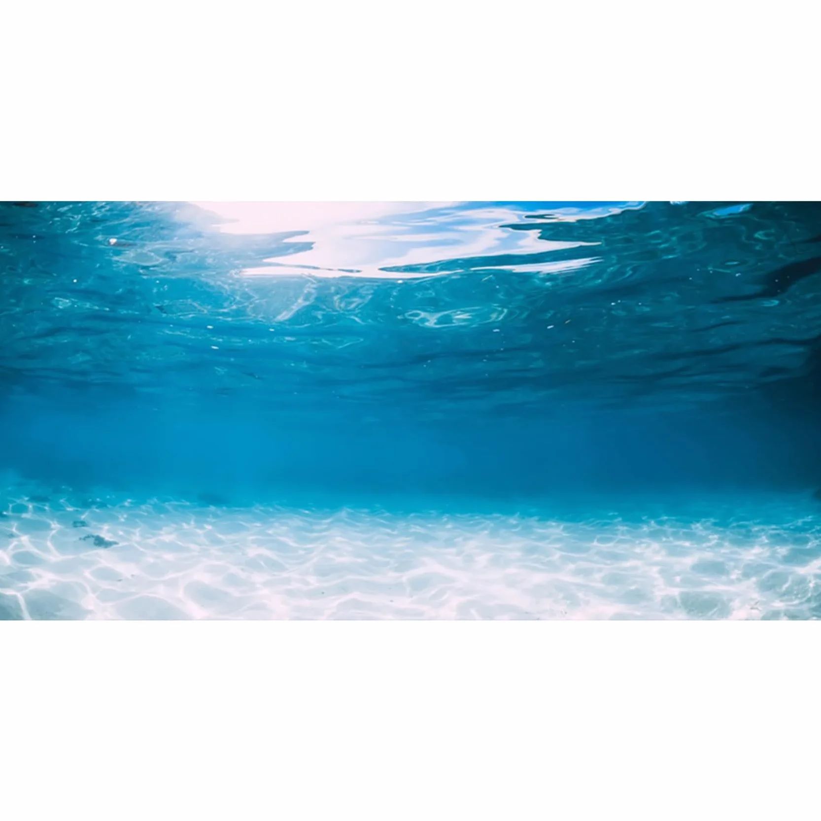 Plakat tło akwarium podwodny świat ocean 180 x 61 cm dekoracja