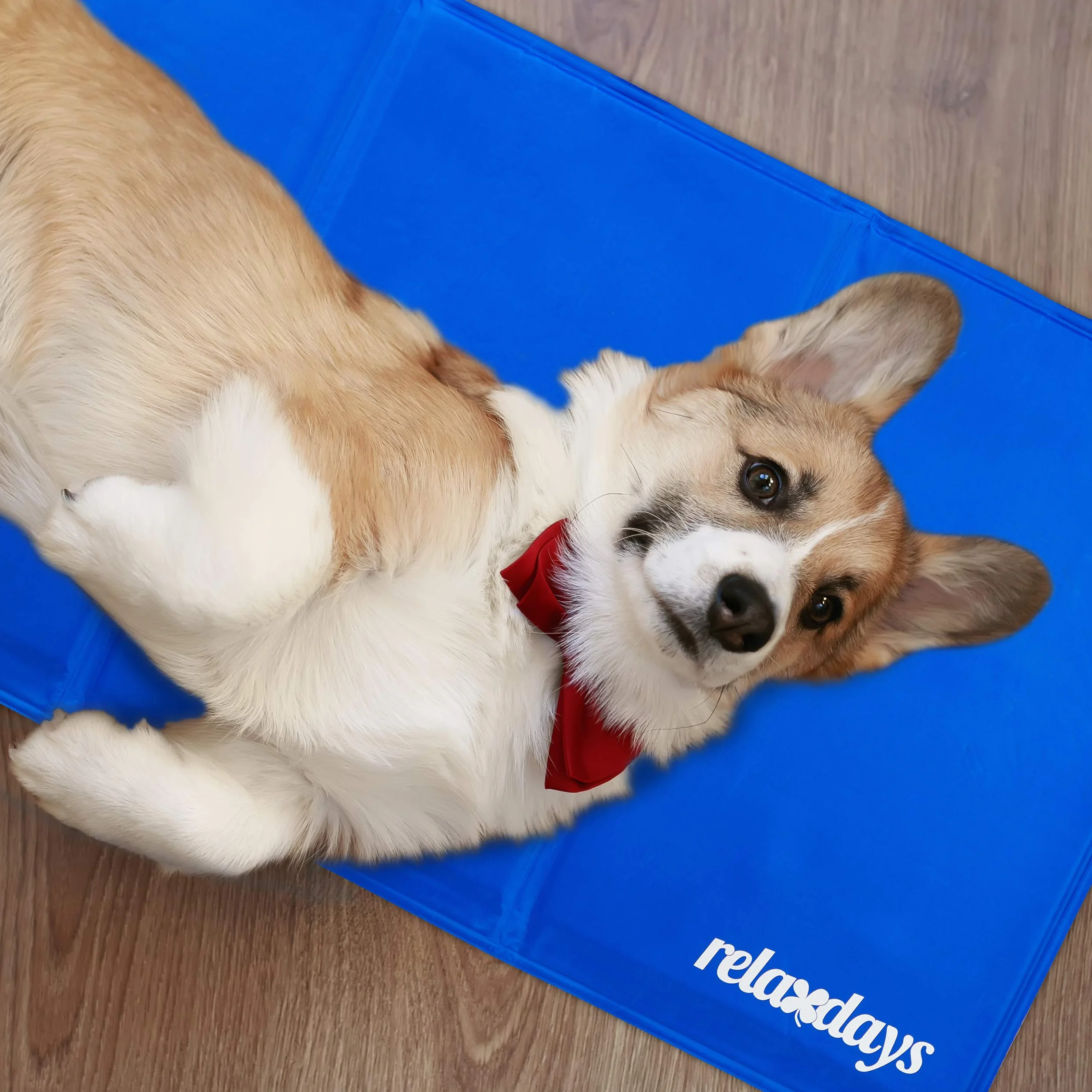 Relaxdays Samozładzająca mata dla psa, zmywalna, żelowa, koc dla zwierząt, poliester, niebieska, 1 sztuka
