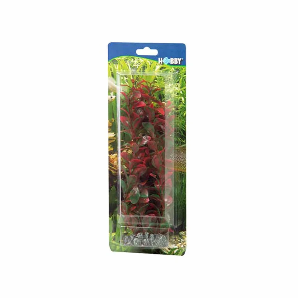 HOBBY Ludwigia sztuczna roślina akwariowa 34 cm dekoracja do akwarium słodkowodnego