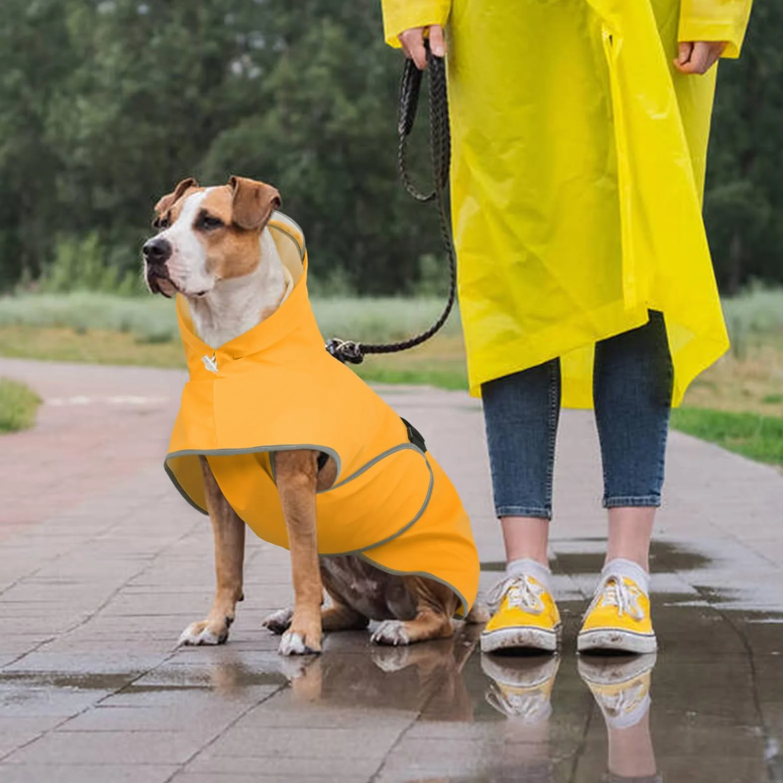 Kuoser Płaszcz przeciwdeszczowy dla psa, wodoodporny płaszcz dla psa z odblaskowym wykończeniem, lekka kurtka dla zwierząt domowych, wiatrówka outdoorowa, oddychająca kurtka dla szczeniaka