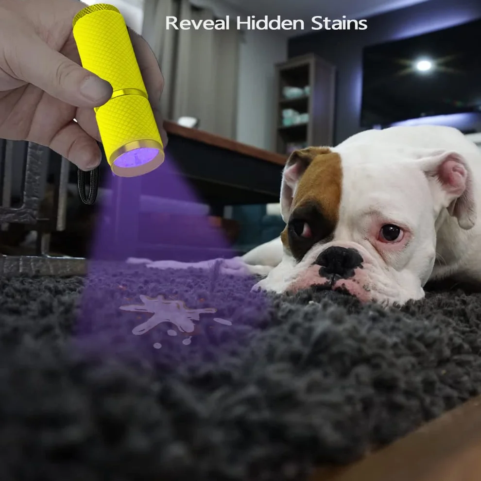LEAGY Mini latarka UV 2-Pack z 9 diodami LED - wykrywacz moczu psa/kota, substancje fluorescencyjne, plamy, podróbek banknotów (Żółty)