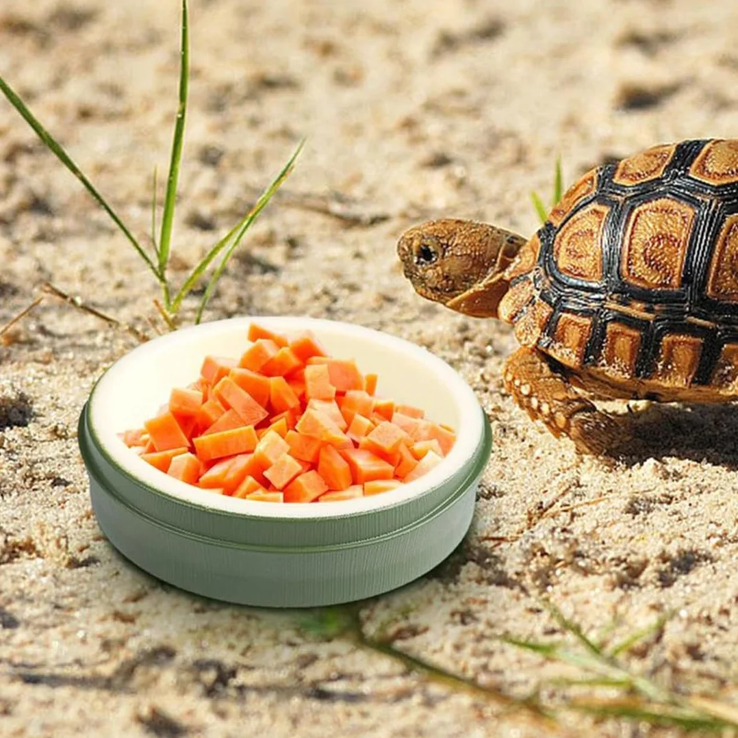 Miska na gady, 2 sztuki, teka gadów, zbiornik, żywność, reptile Growth, terrarium gadów, długie proste / zakrzywione, gady i płazy, jaszczurki, żaby, gekony, żółwie, pasterki, ECC