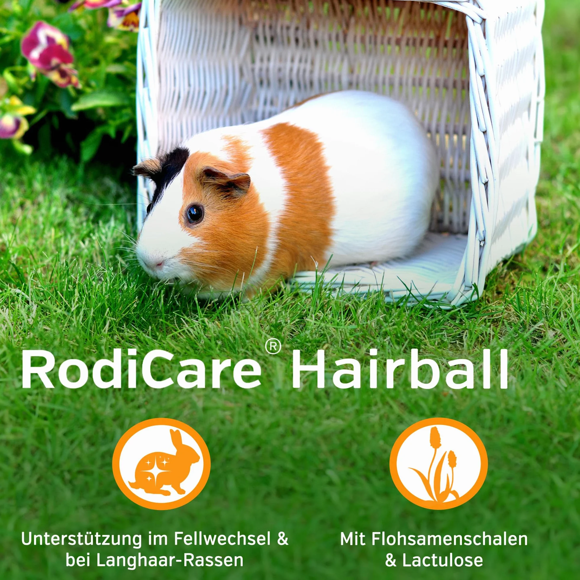 alfavet RodiCare Hairball Suplement diety dla królików i świnek morskich 100 ML