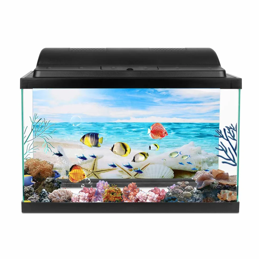 Plakat akwariowy 3D samoprzylepny z rozgwiazdą PVC tło akwarium 61 x 30 cm
