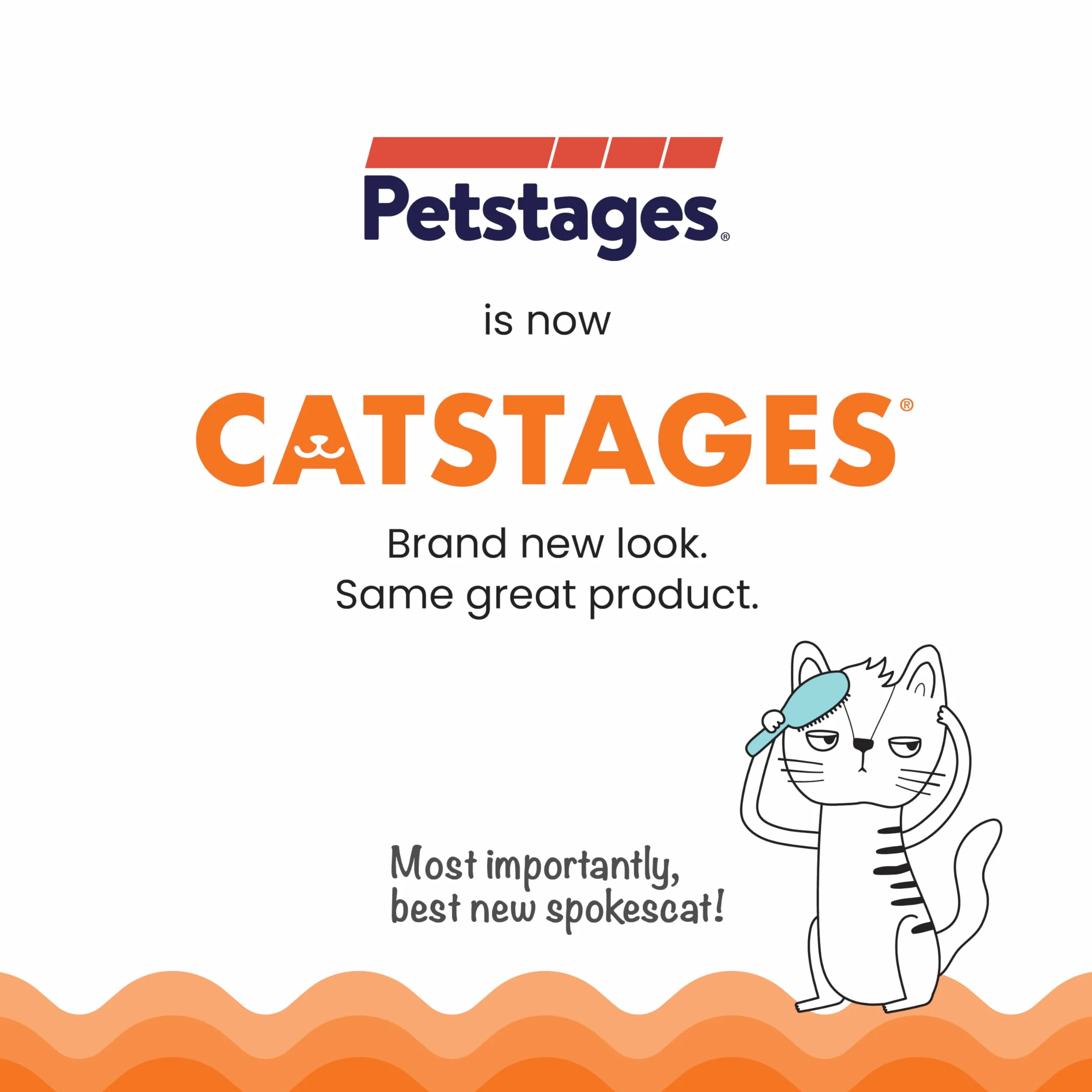 Petstages Squeak Squeak Mouse - Zabawka dla kotów - mysz - pluszowa - z kocimiętką