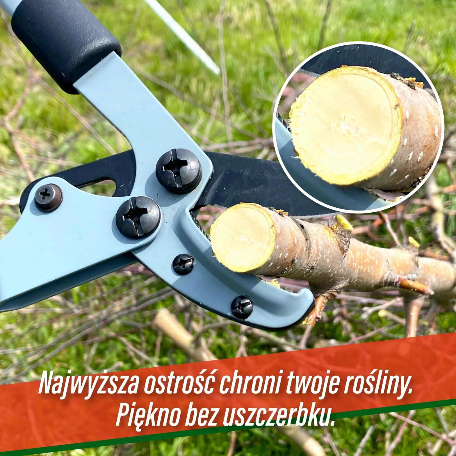 SUIZAN Kowadełkowy Sekator do gałęzi 465mm - Japońskie profesjonalne Kompakt 620g Lekki Narzędzia ogrodnicze