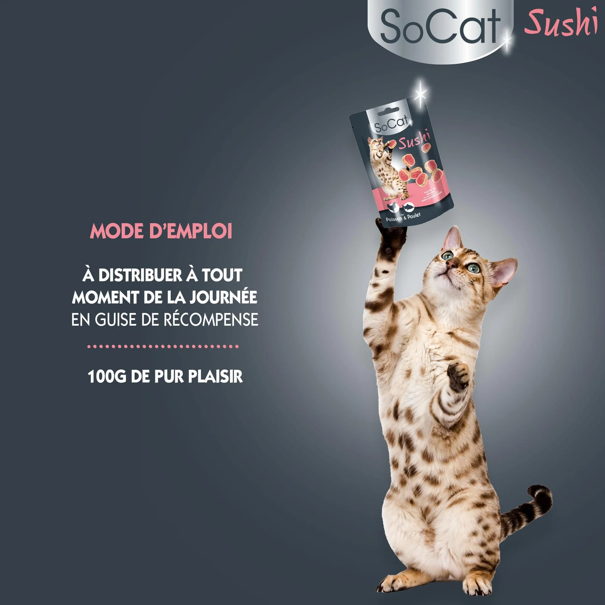 Miouly Riga Sushi Przysmak dla kota z kurczakiem i rybami 100 g