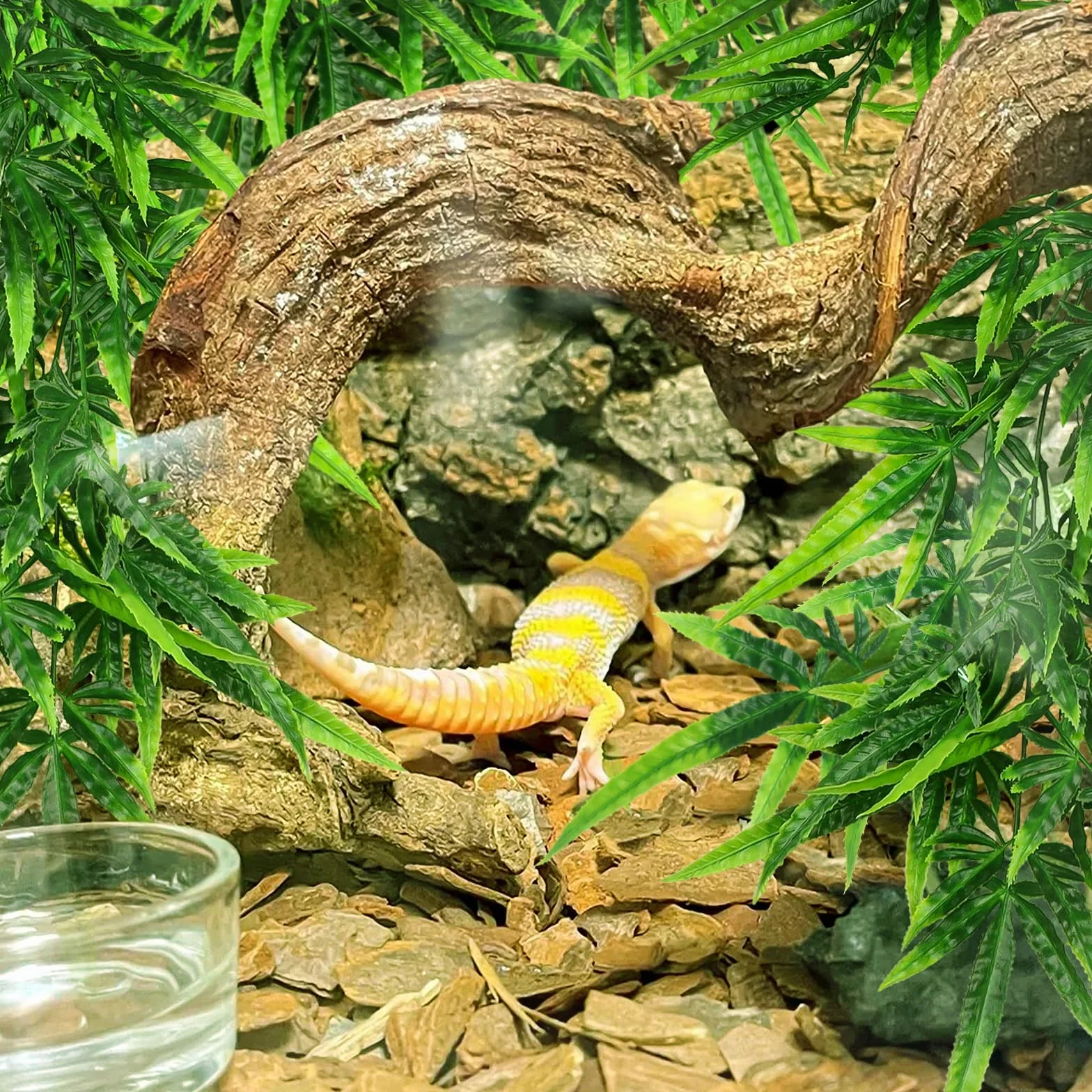 QUOZUO Akcesoria do zbiorników dla gadów, rośliny terrarium, 2 sztuki, sztuczne rośliny wiszące, sztuczne liście, skóra gadów, z przyssawką