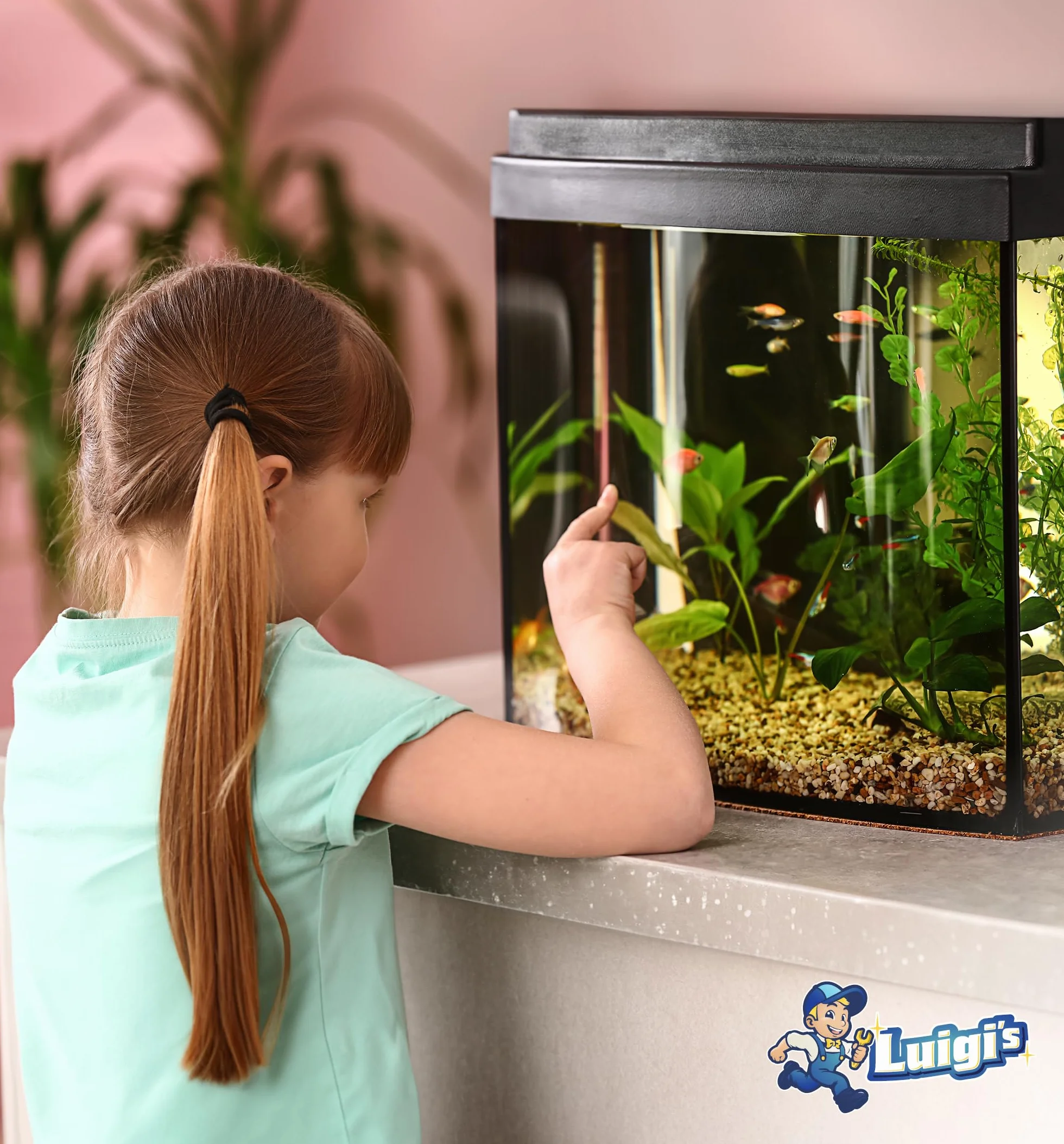Luigi's Syphon Fish Tank Cleaner do akwarium - ręczna pompa syfonowa próżniowa 3 w 1 - zmieniacz wody i płuczka żwiru