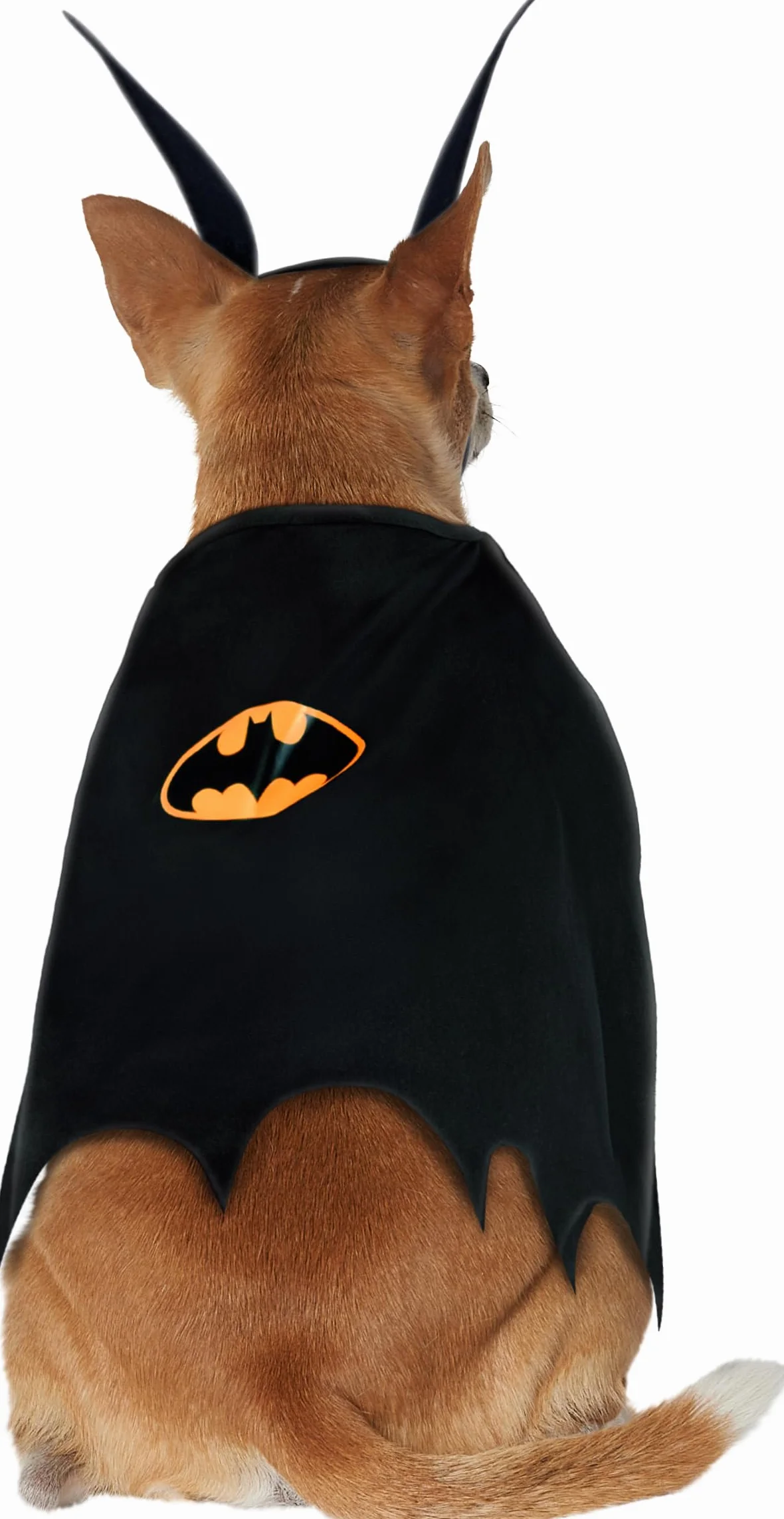 Oficjalny kostium Rubie's Pet Dog, Batman - duży Halloween Halloween