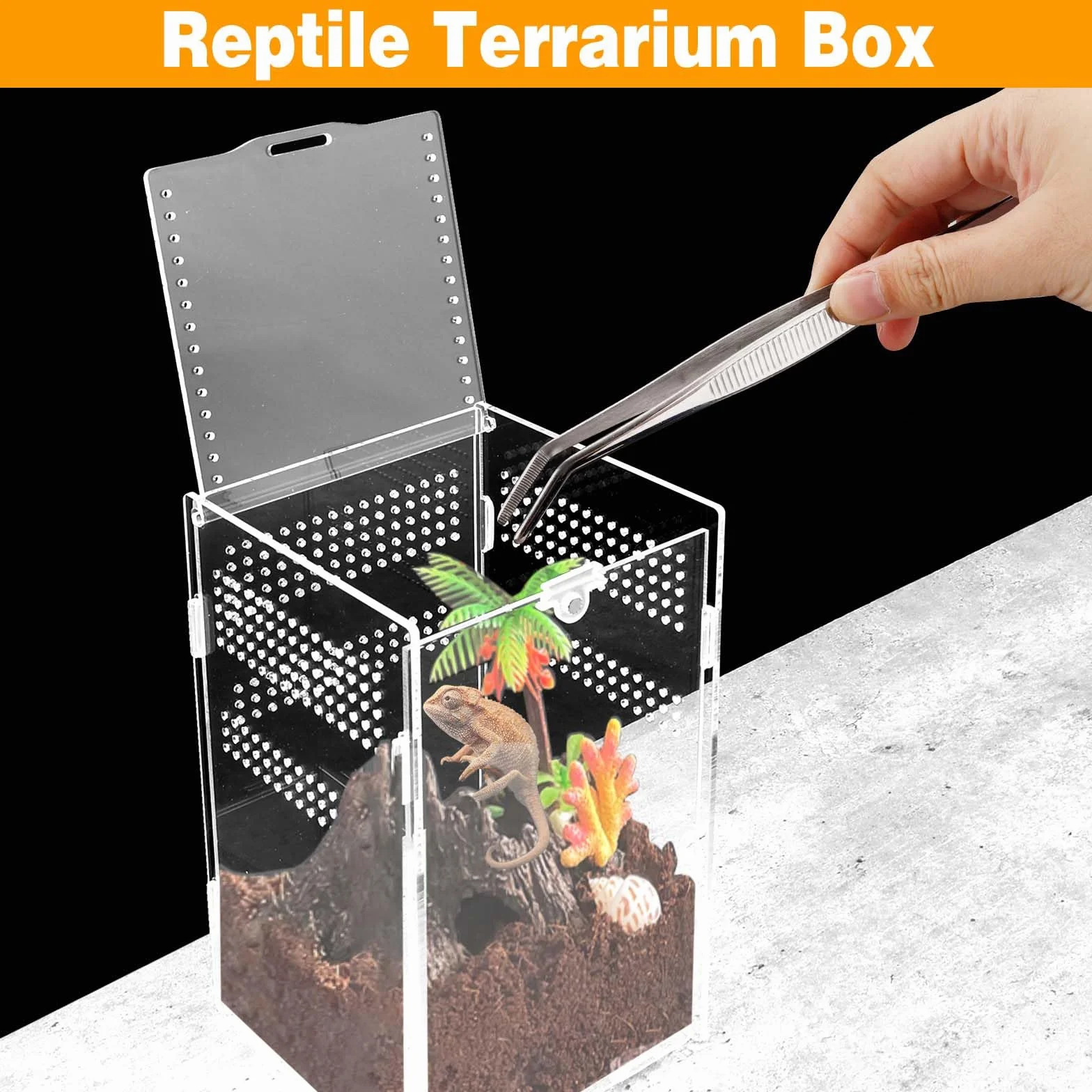 Terrarium akrylowe 20 x 12 x 12 cm, pudełko do karmienia owadów z zaciskami łokciowymi, przenośne pudełko do hodowli zwierząt domowych, konstrukcja zapobiegająca ucieczce