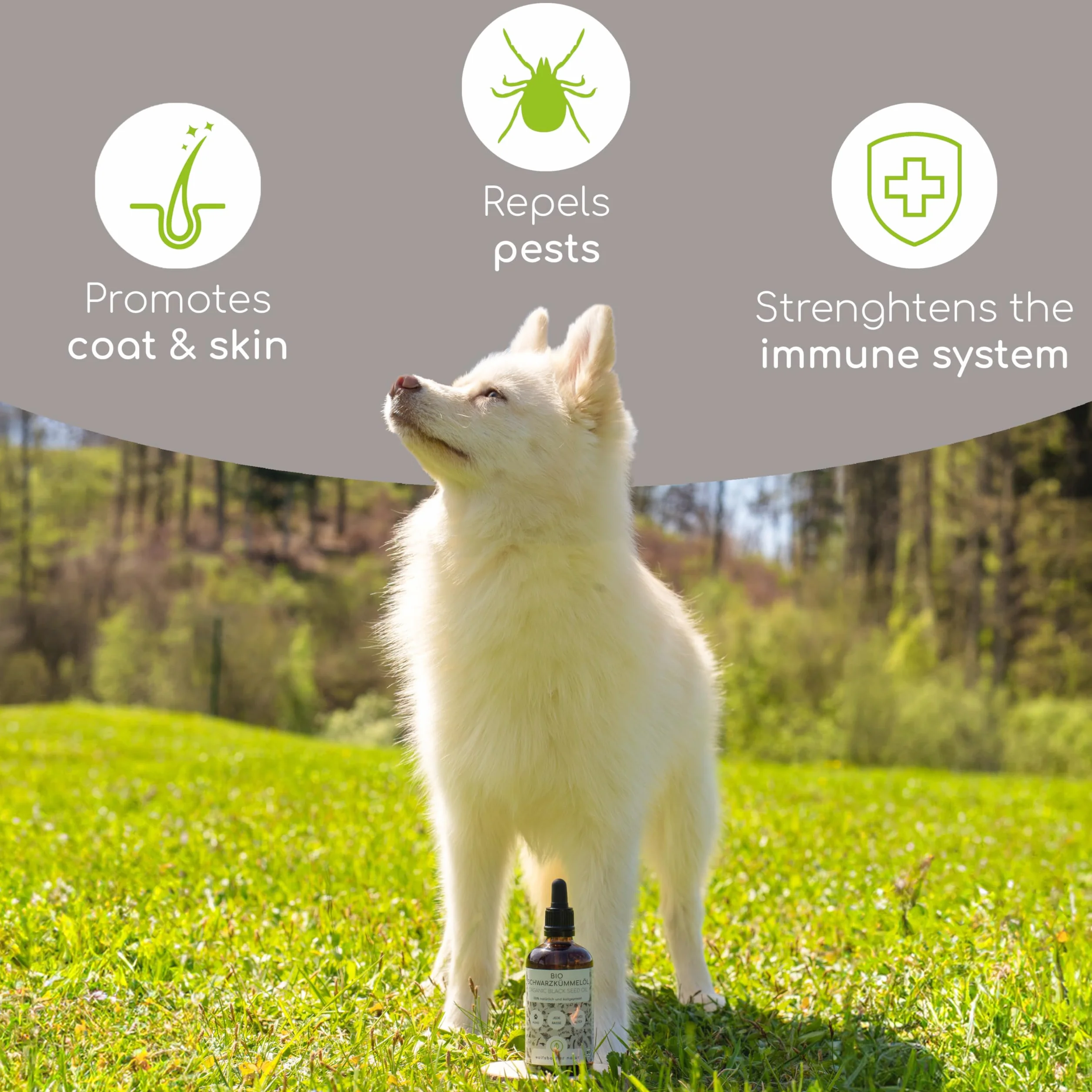 Schwarzkümmelöl für Hunde 50ml tłoczone na zimno ekologiczne Nigella Sativa