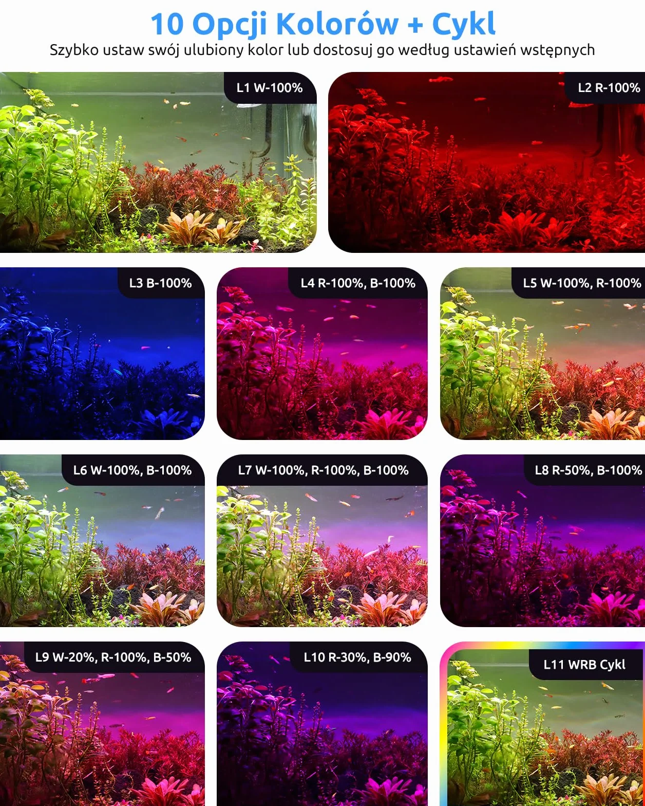 SEAOURA Oświetlenie LED do akwarium 30-45cm pełne spektrum timer WRB 3 kanały 10 jasności 11 kolorów