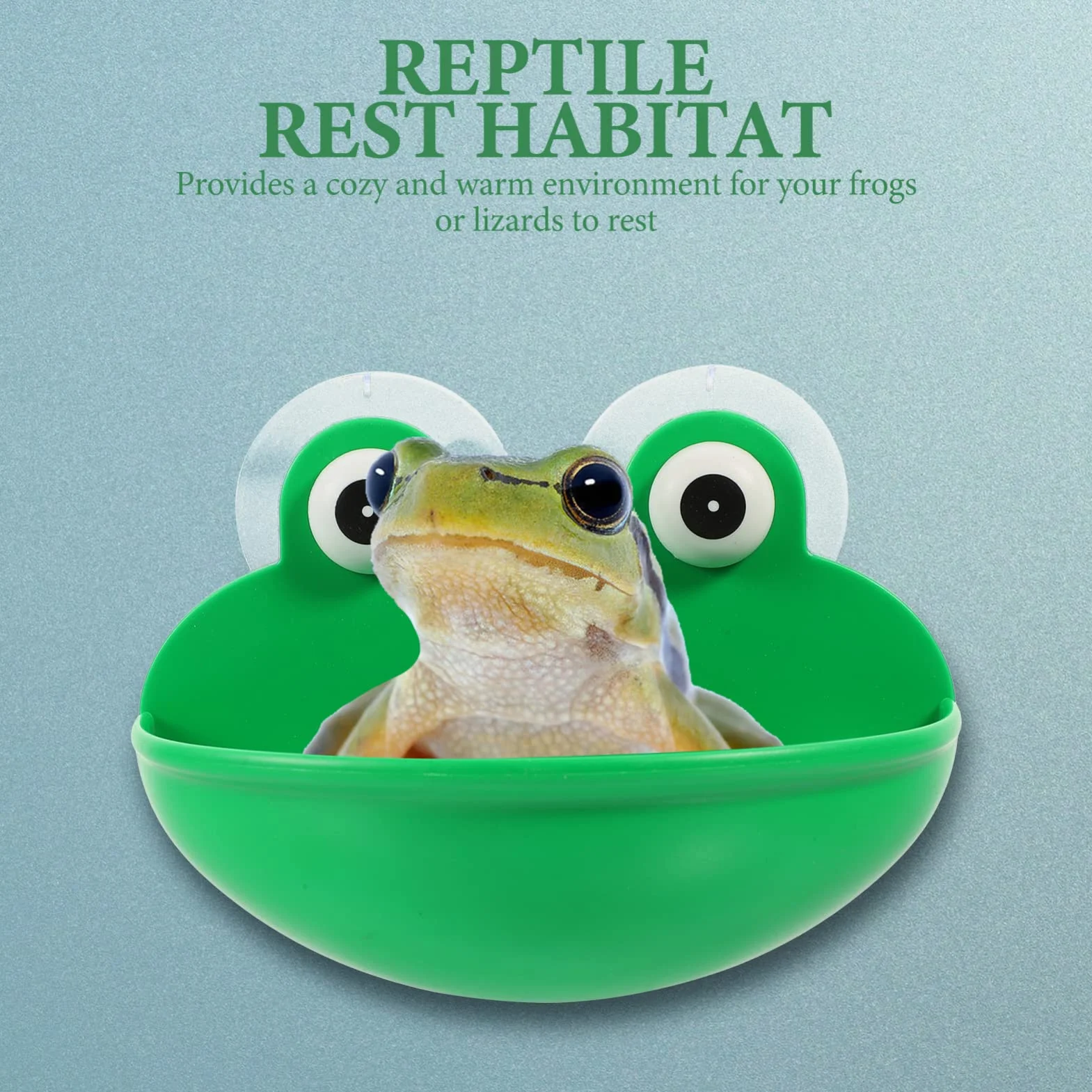 Stolik do odpoczynku dla zwierząt platforma terrarium dekoracja 4