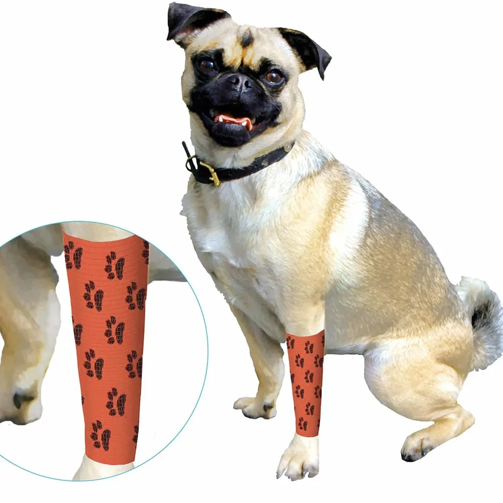 Pet Vet Wrap samoprzylepny elastyczny bandaż dla zwierząt 6 rolek 5 cm x 4,5 m