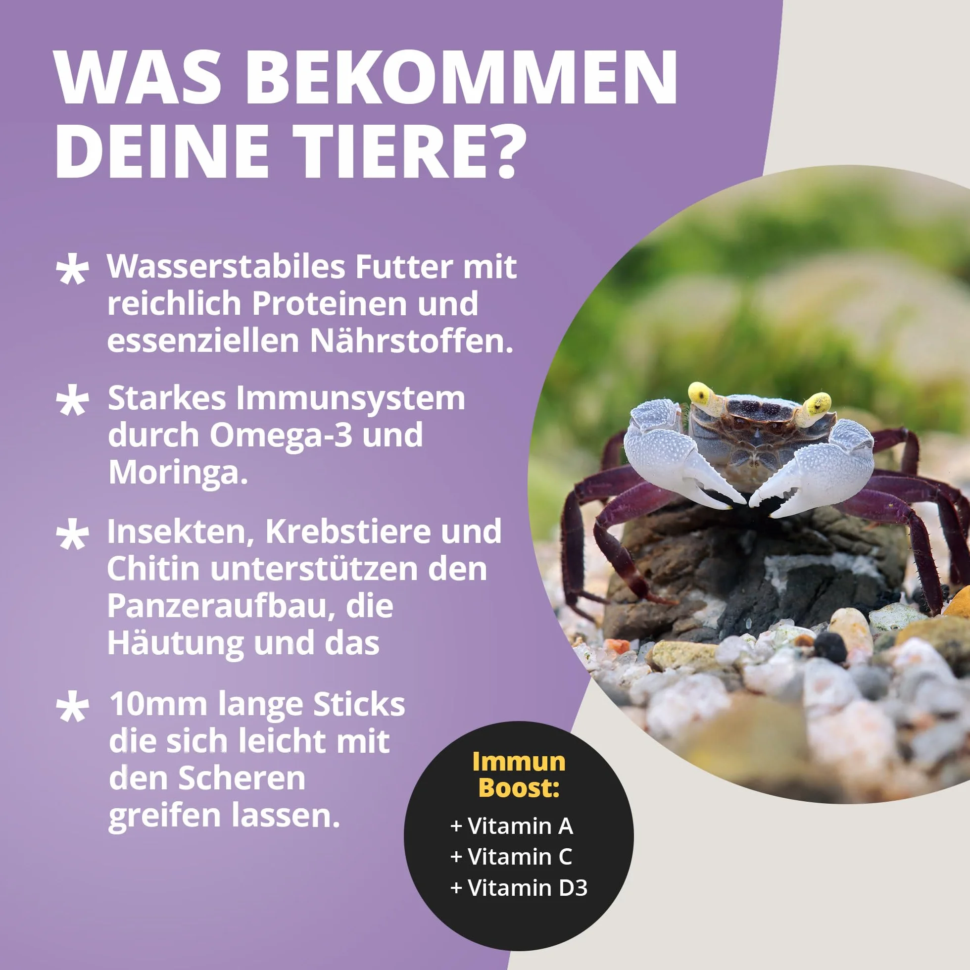 NatureHolic - Krabbenfeed I pokarm dla krabów I wysokiej jakości naturalne składniki, które wyprodukowałem w Niemczech I do krabów w terrarium, paludarium, akwarium, akwarium i akwarium