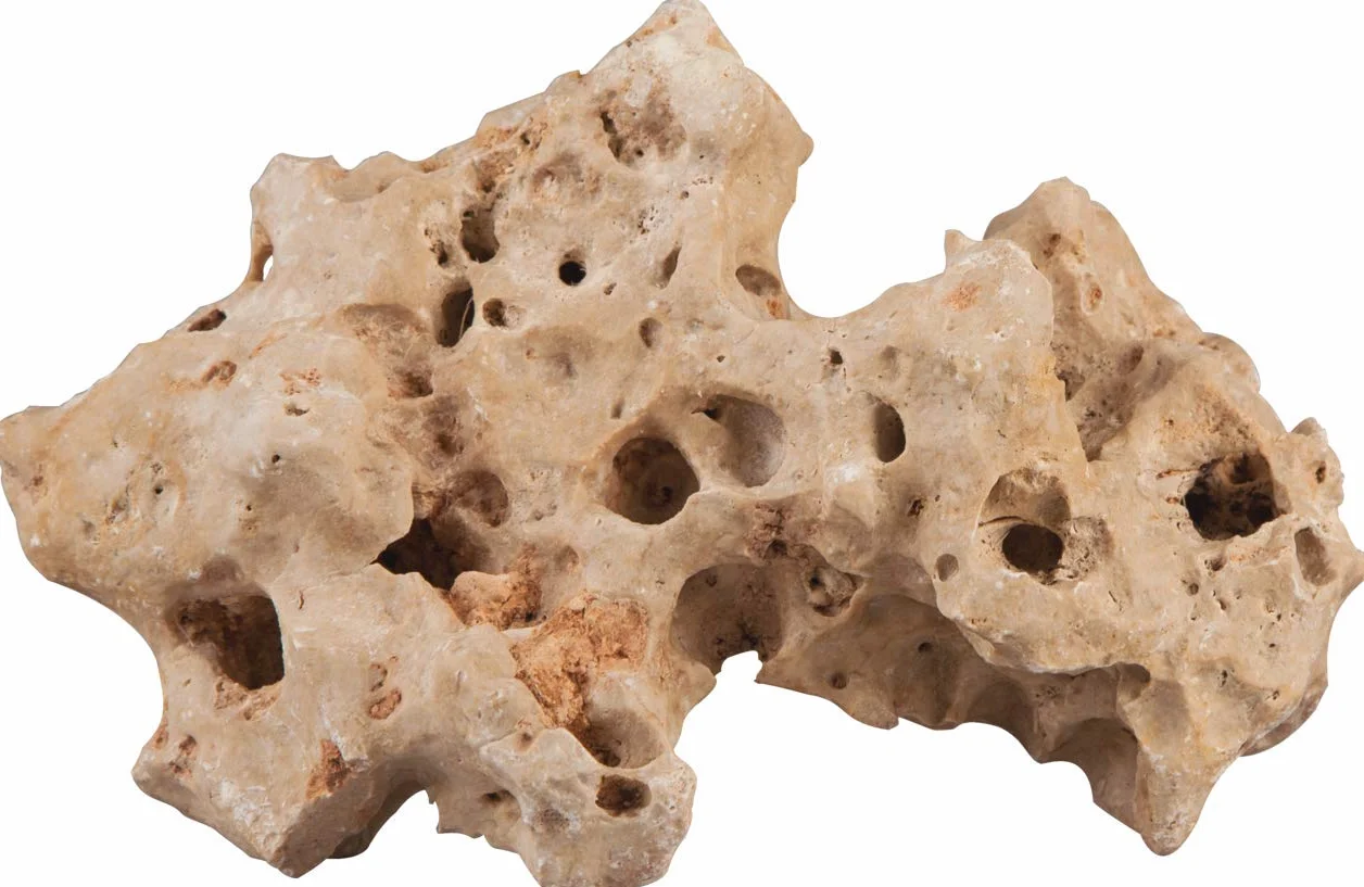 sera Rock Hole Stone L 2-3 kg - beżowa skała perforowana o gładkiej powierzchni
