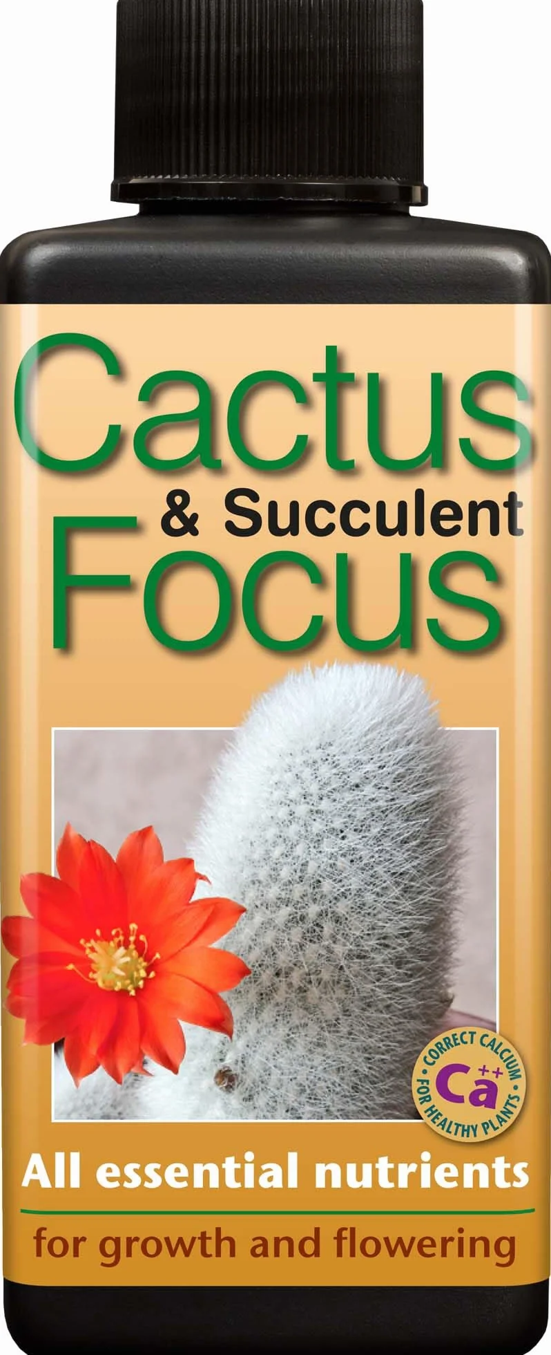 Kaktus i sukulent Focus 100 ml
