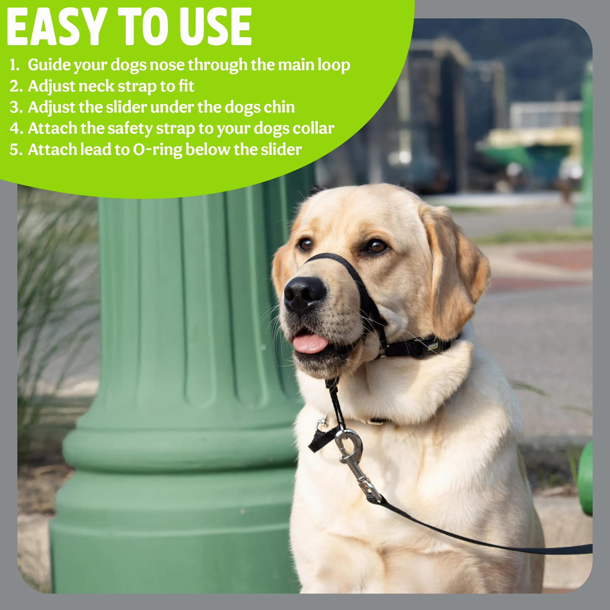 Rosewood Walk 'n Train Dog Training Halter obroża głowy mała