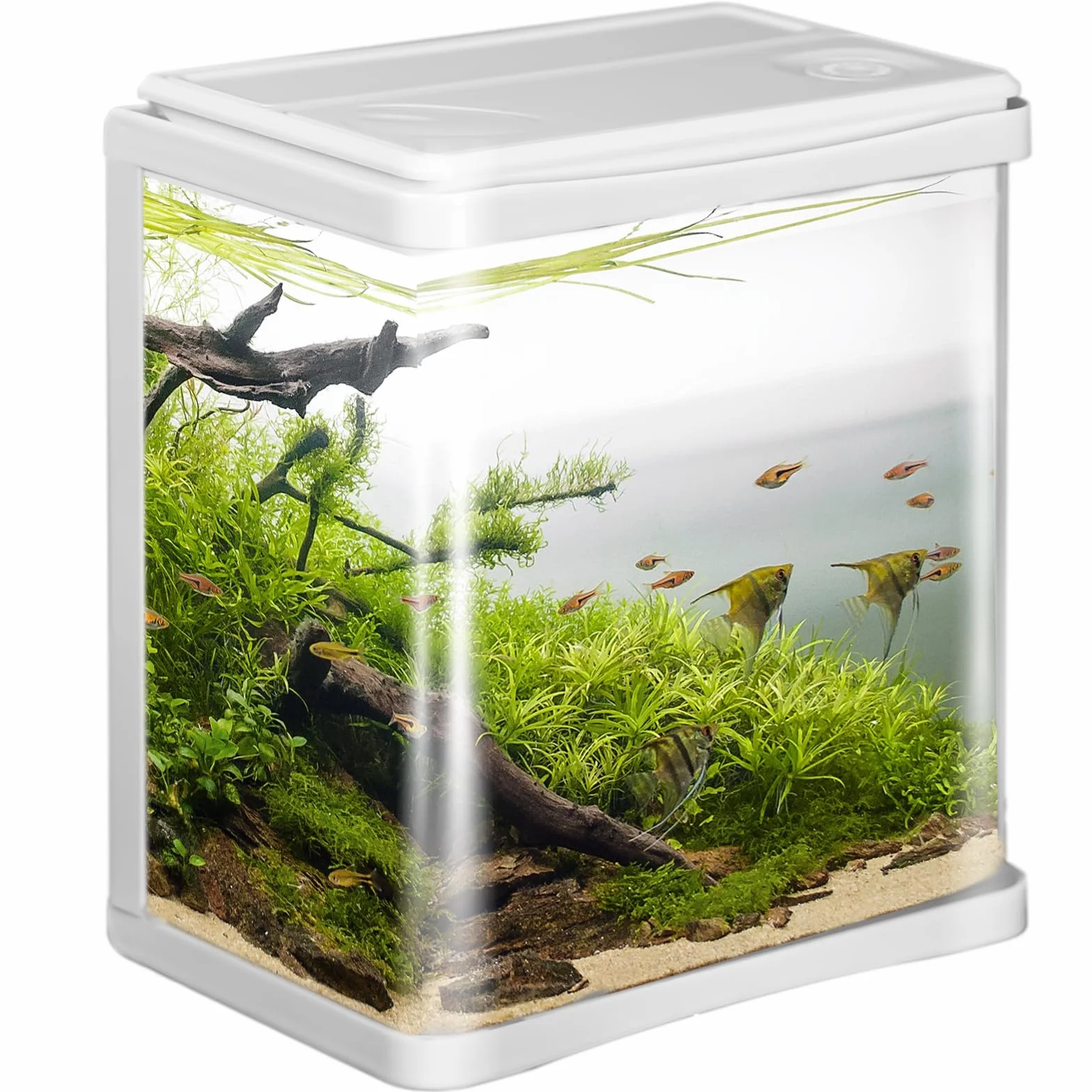 Kruger Meier Arona Aquarium 3l akwarium biały