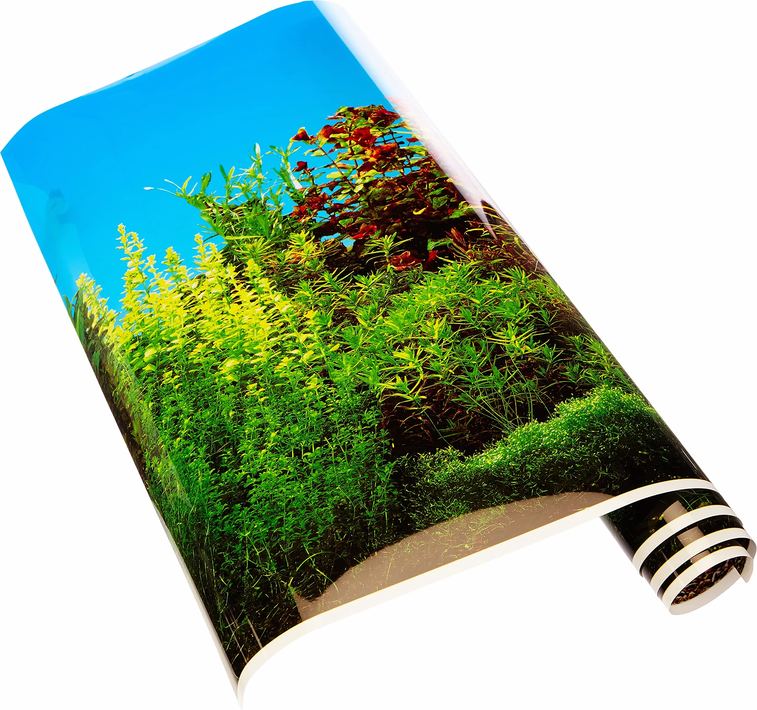 Bernina fototapeta 80 x 40 cm motyw piękna i morza