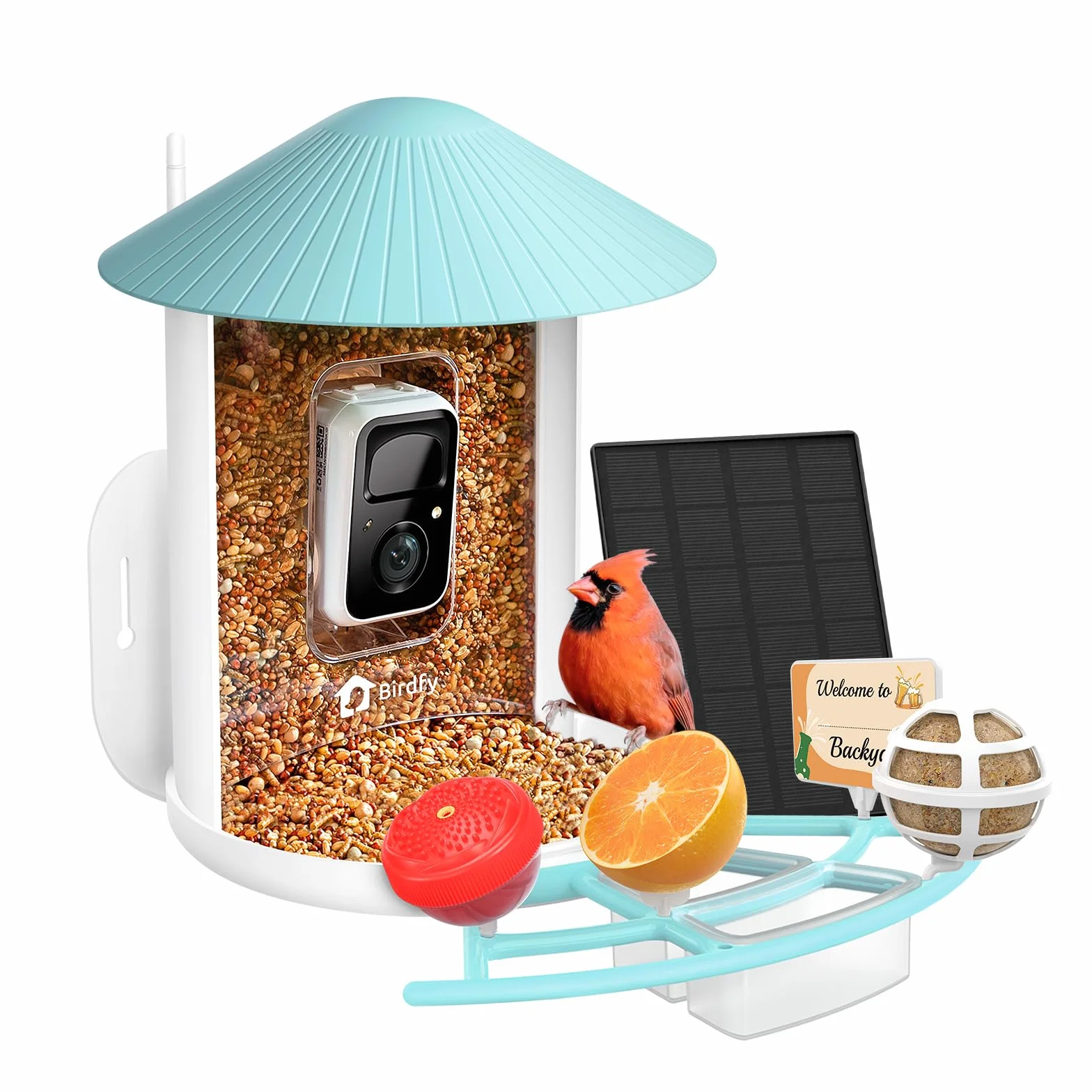 NETVUE Birdfy Pro Lite Vogelhaus z kamerą, stacja Vogelfutterstation z kamerą i DIY wielofunkcyjny stojak, stacja futterstationen for Wildvögel, Vogelfutterspender mit Meisenknödelhalter, Wasser/Gelee