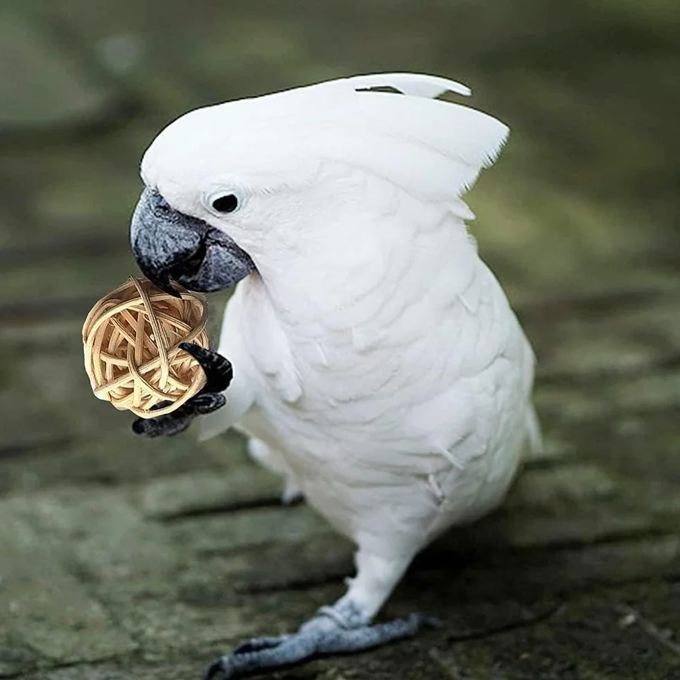 Zabawki dla Ptaków - Papuga, Akcesoria, Huśtawka, Żucie, Stojący, Wiszący Hamak, Drabina Wspinaczkowa dla Papug, Conure, Cockatiel, Mynah, Ptaki Miłości, Zięby, 18 Szt