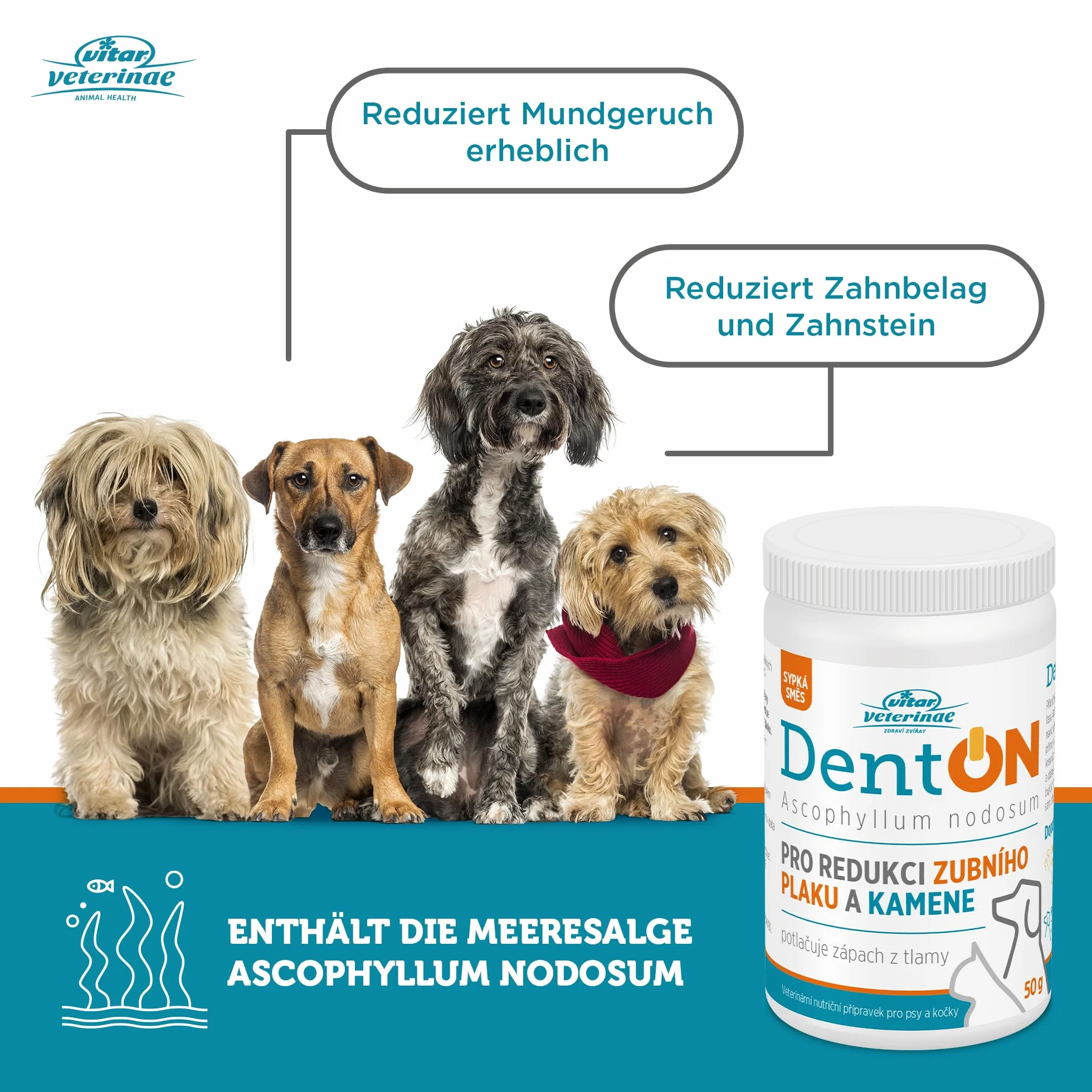DentON 50 g na płytkę nazębną i kamień nazębny