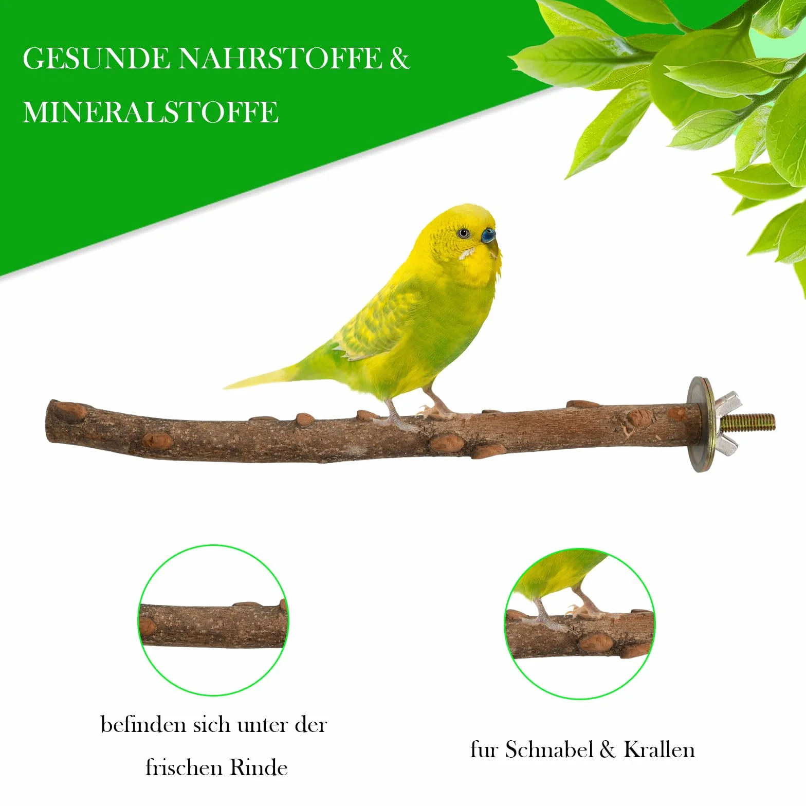 5 Sztuk Naturalnych Drążków do Siedzenia dla Ptaków, Akcesoria do Klatki, Ważne Akcesorium dla Papużek Falistych