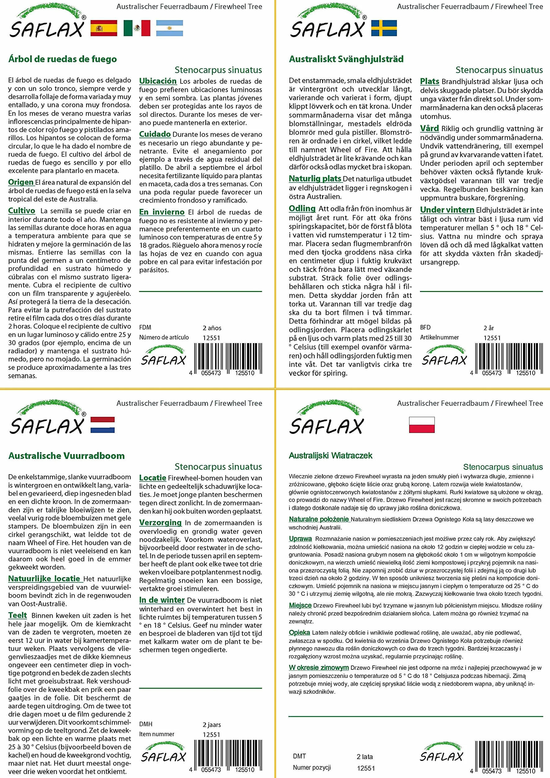SAFLAX - Ogród w torbie - Australijski Wiatraczek - 20 Nasiona - Z rosnącym podłożem w praktycznej, samowznoszącej torbie. - Stenocarpus sinuatus