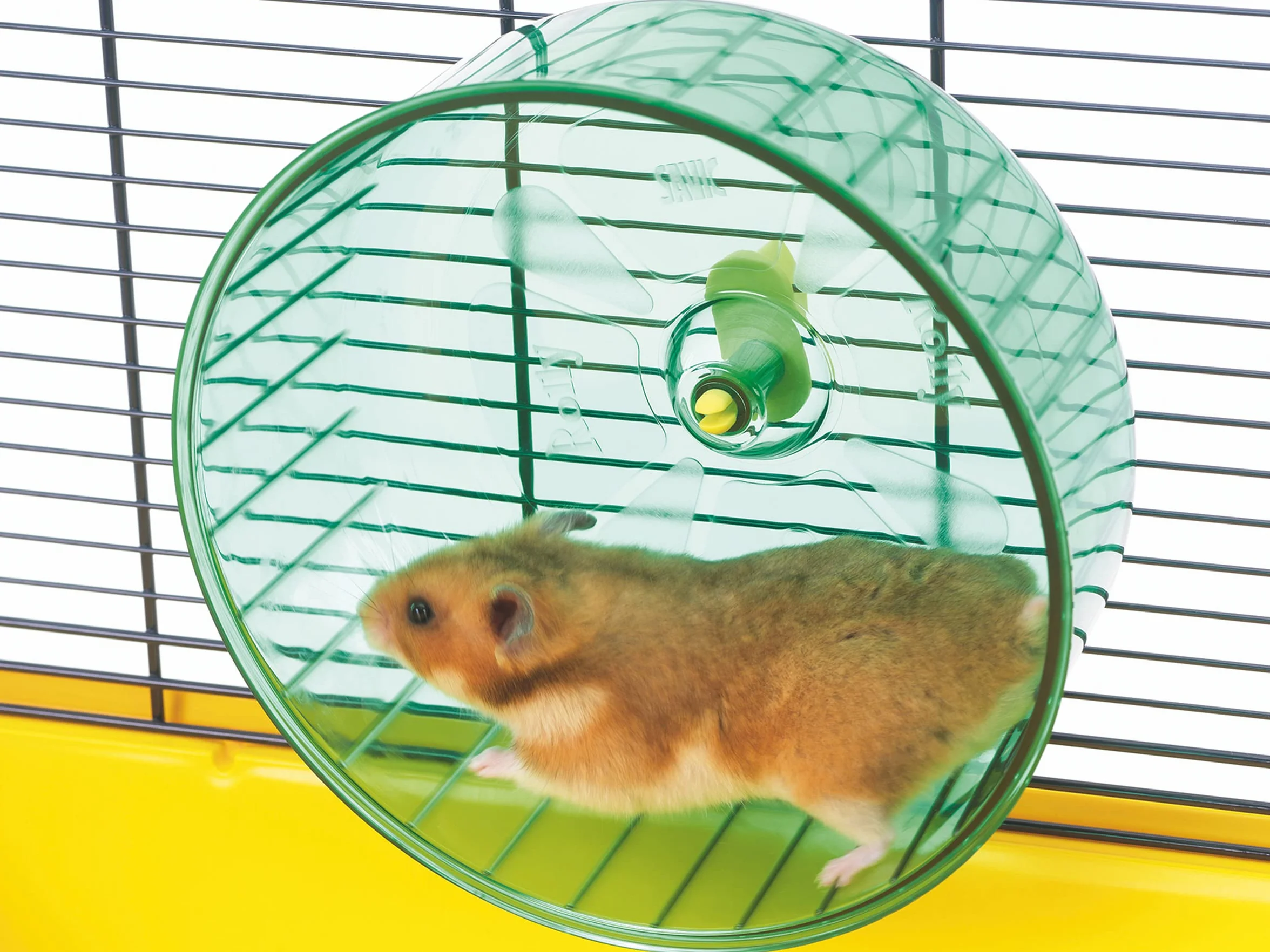 Jumbo Wheel Wałek dla chomika 18 cm
