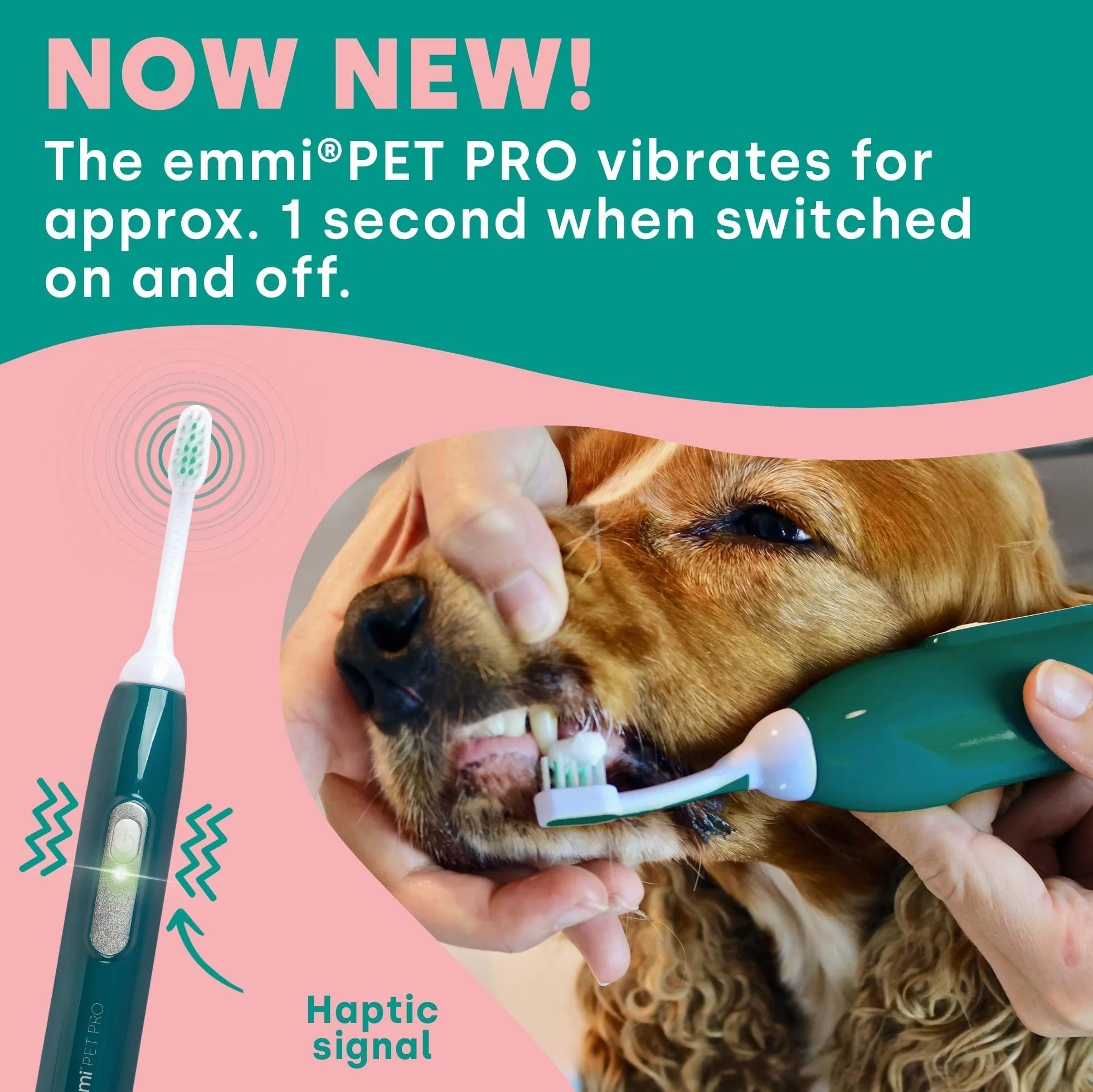 emmi-PET PRO Ultradźwiękowa szczoteczka do zębów dla psów I Cicha szczoteczka do zębów dla psów przeciwko kamienia zębnemu, płytce nazębnej i nieświeżemu oddechowi I Delikatna pielęgnacja zębów bez