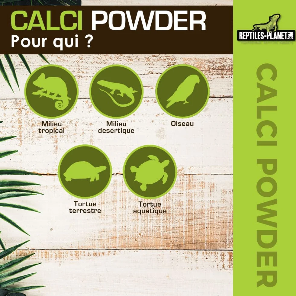 Reptiles Planet Calci Sepia Powder Kości mątwy w proszku dla gadów 100 g