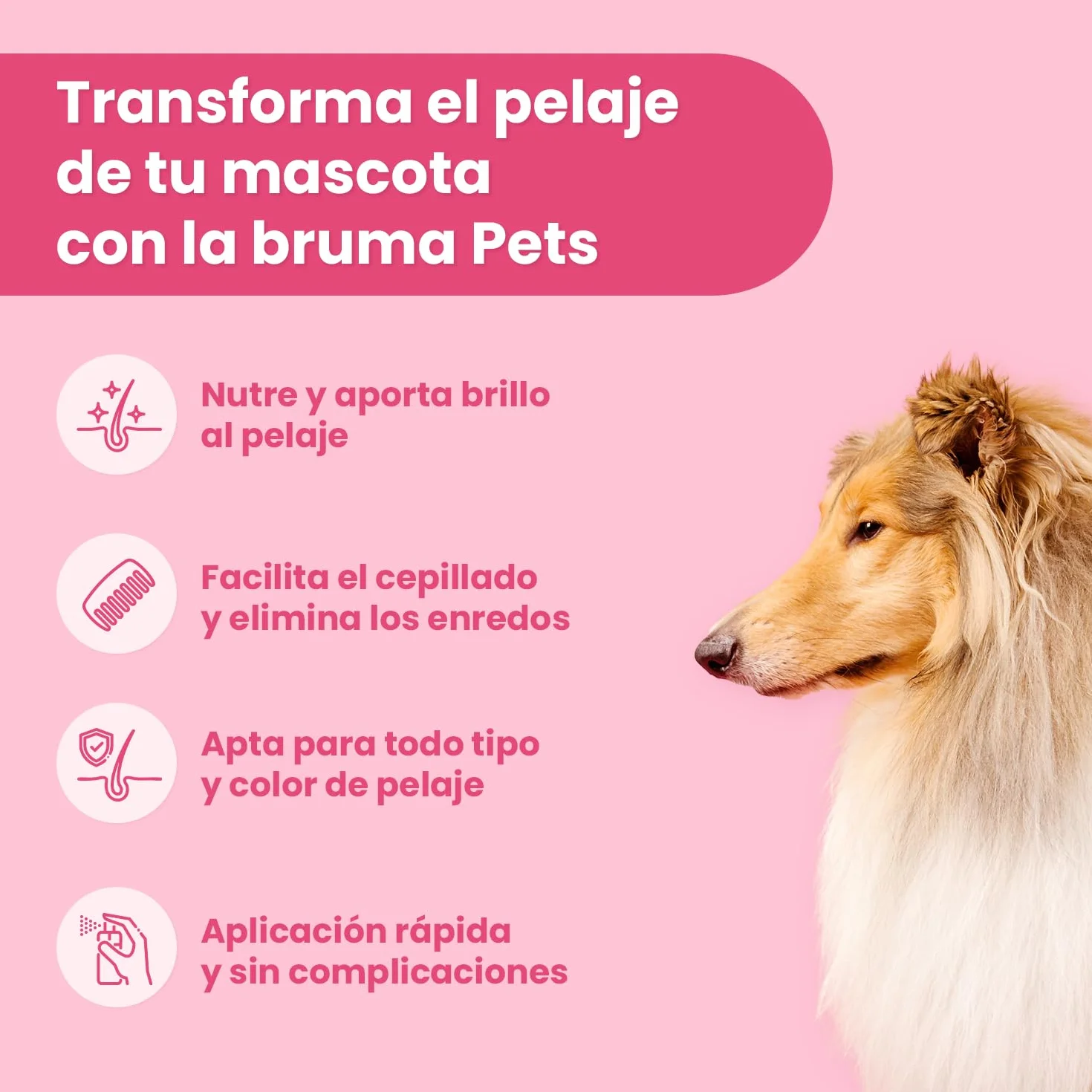 Pets Magic spray do odfilcowywania psa i kota 250 ml odżywka rozczesywania futra