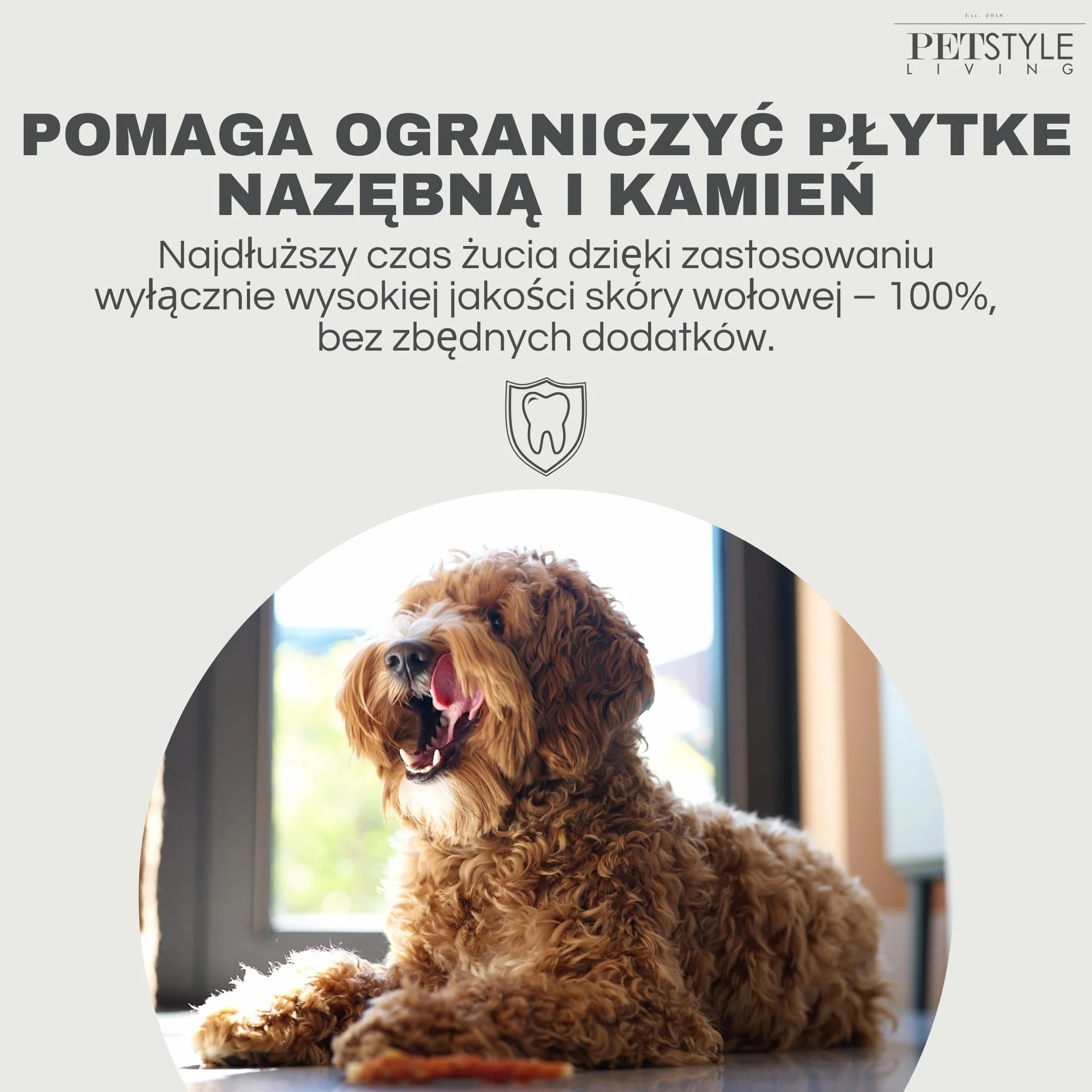 Patyk do żucia z Kaczka dla psa 100 sztuk