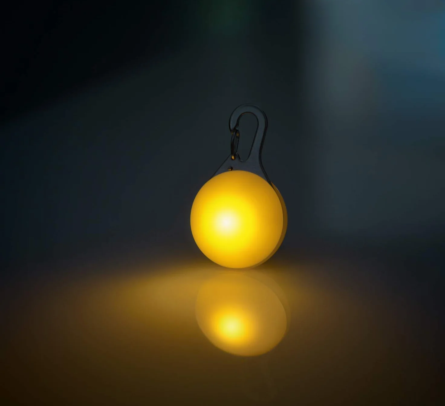 Świecąca obroża LED dla psa z uprzężą