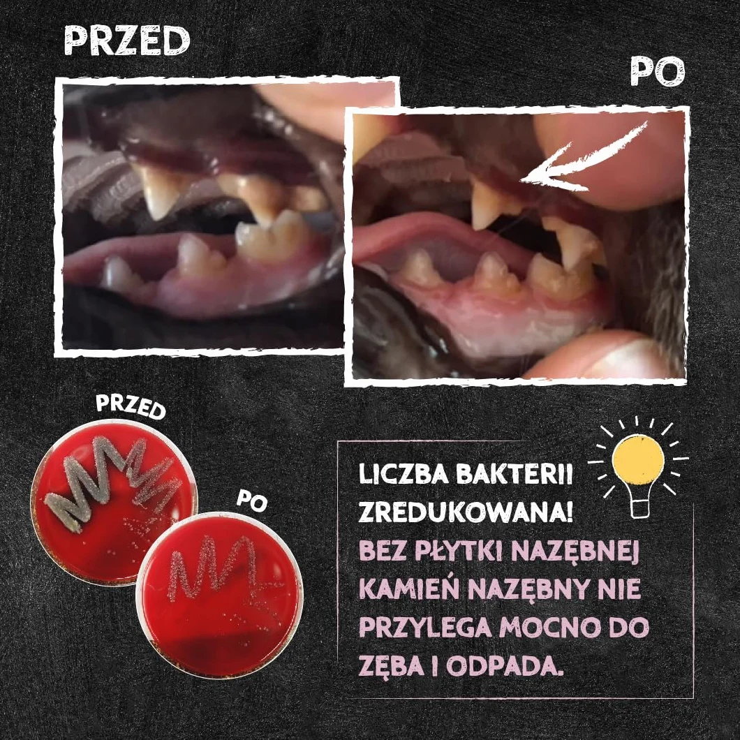 QCHEFS płatki plastrów do zębów dla kota maty do lizania z mokrą karmą