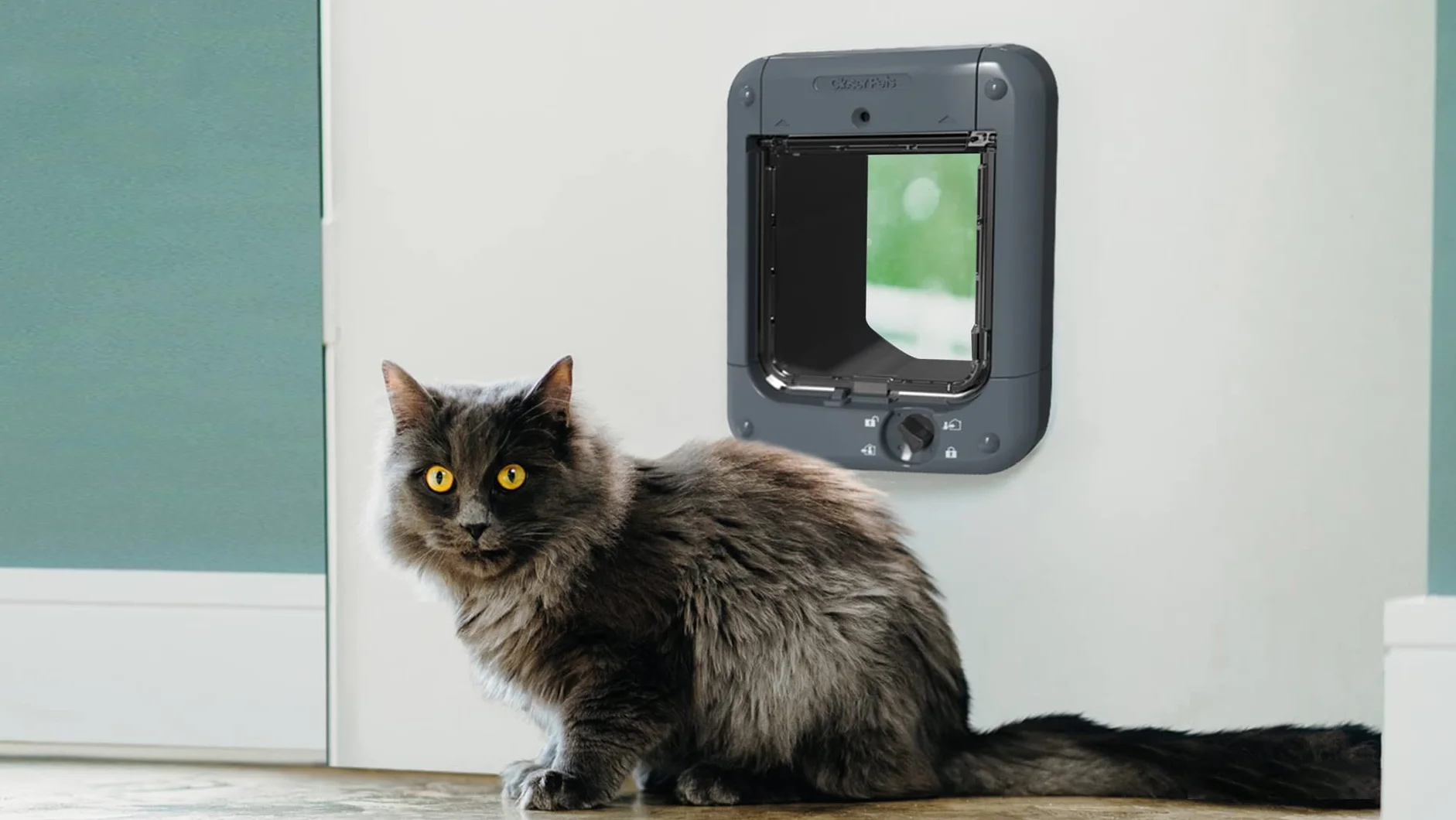 Cat Mate Klapa dla kota sterowana mikroczipem (360) – dla kotów i małych psów, do 30 zwierząt domowych, do przeszklenia pojedynczego/wielokrotnego, UPVC, ścian i drewna, szara