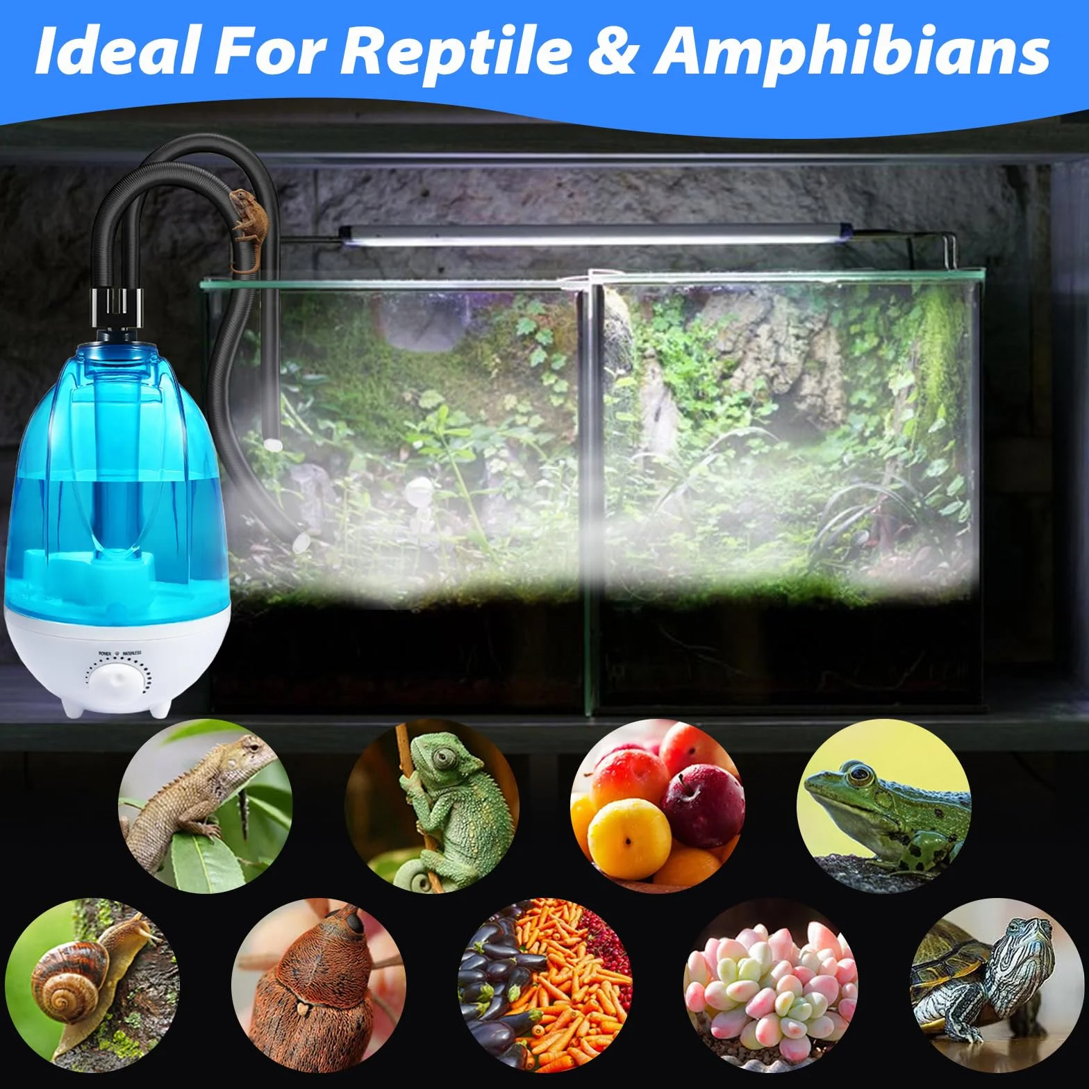 Nawilżacz powietrza do terrarium 4 l 300 ml/h z oświetleniem nocnym
